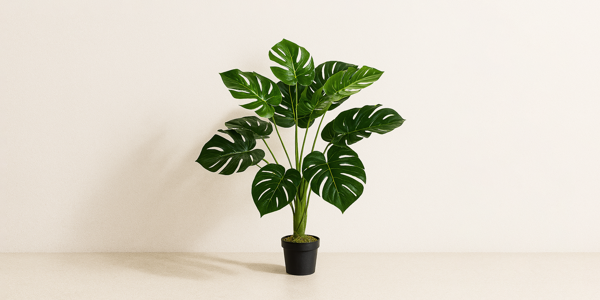 Artificial Plants