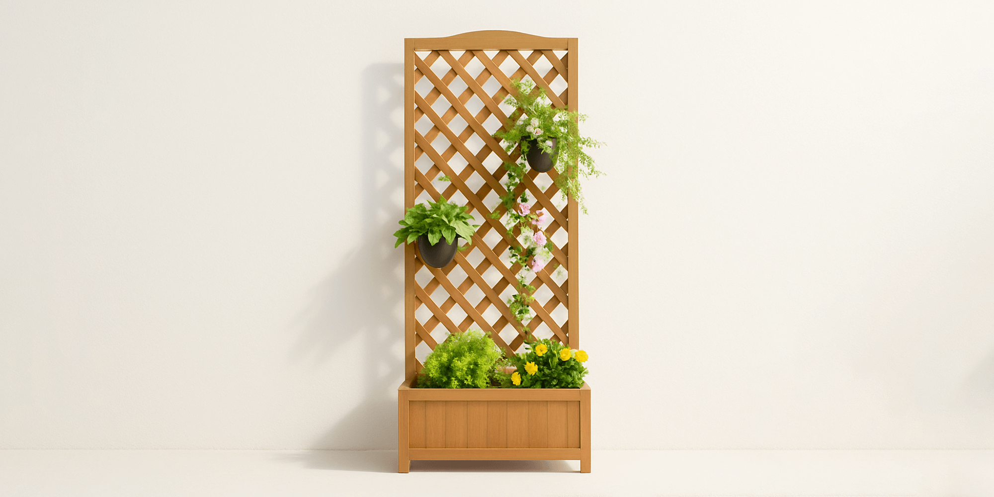 Pots & Planters