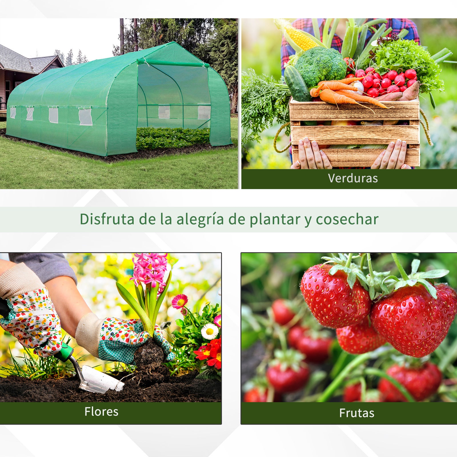 Garden Greenhouse 6x3x2 m Tunnel Type for Growing Plants Vegetables with 8 Breathable Windows and Roll-Up Zippered Door Steel Green