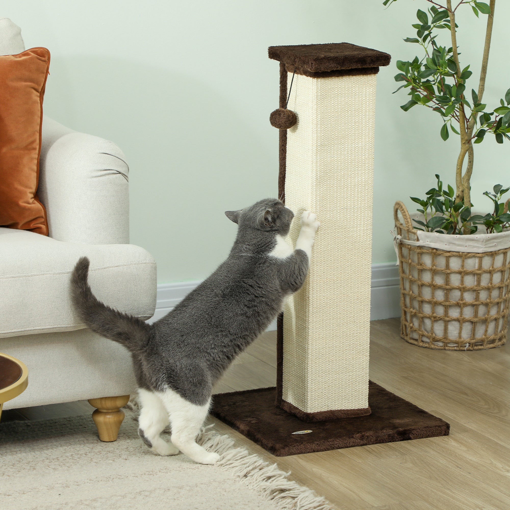 Cat Scratching Post Height 81 cm Cat Scratcher with Sisal Post and Hanging Ball 41x41x81 cm Brown