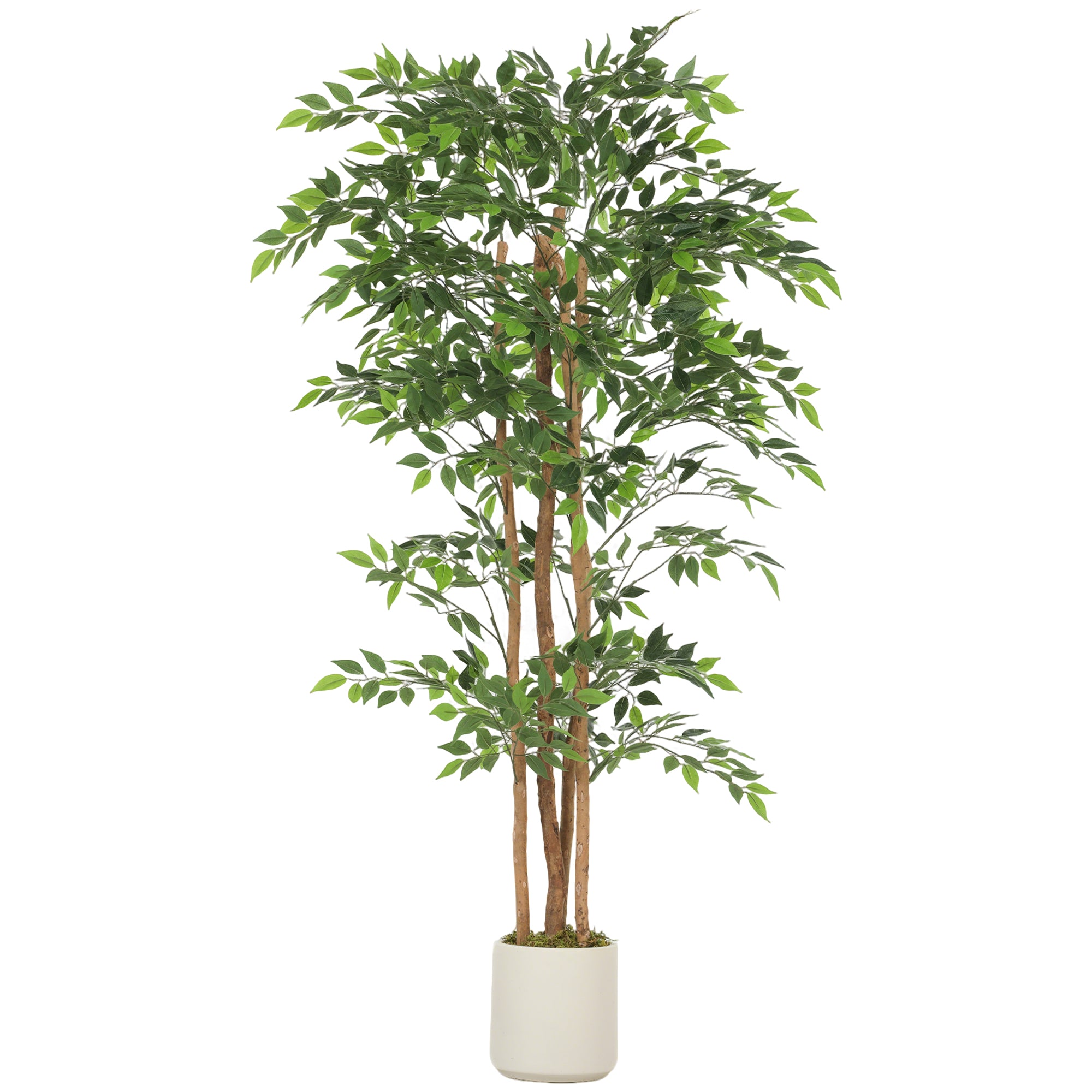 180 cm (5'11") Artificial Banyan Tree with Solid Wood Trunk & White Planter — Realistic Indoor Decor for Living Room, Bedroom & Office