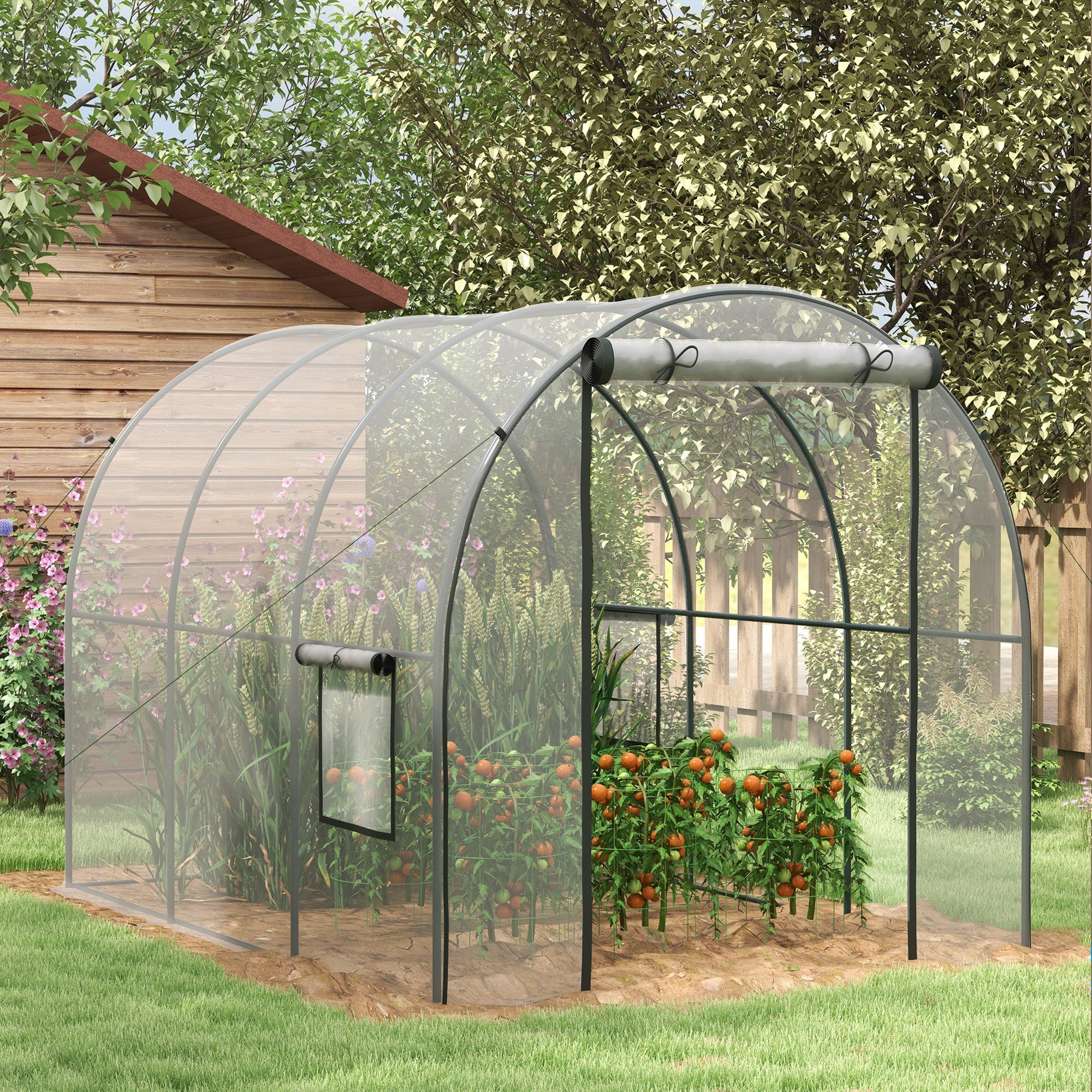 Garden Greenhouse Tunnel Tomato Greenhouse Ground Surface 6 m² 3L x 2W x 2H m Reinforced Tubular Frame Zippered Door 2 Roll-Up Windows - Transparent