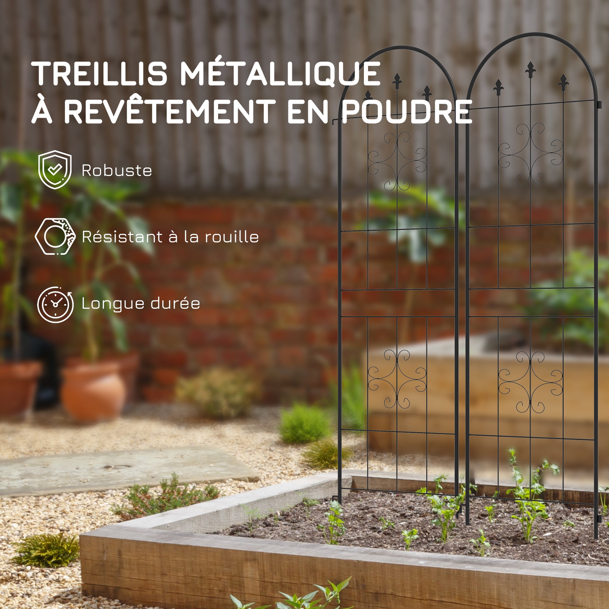 Set of 2 Garden Trellises, Climbing Plant Support made of Steel, 50L x 180H cm, black