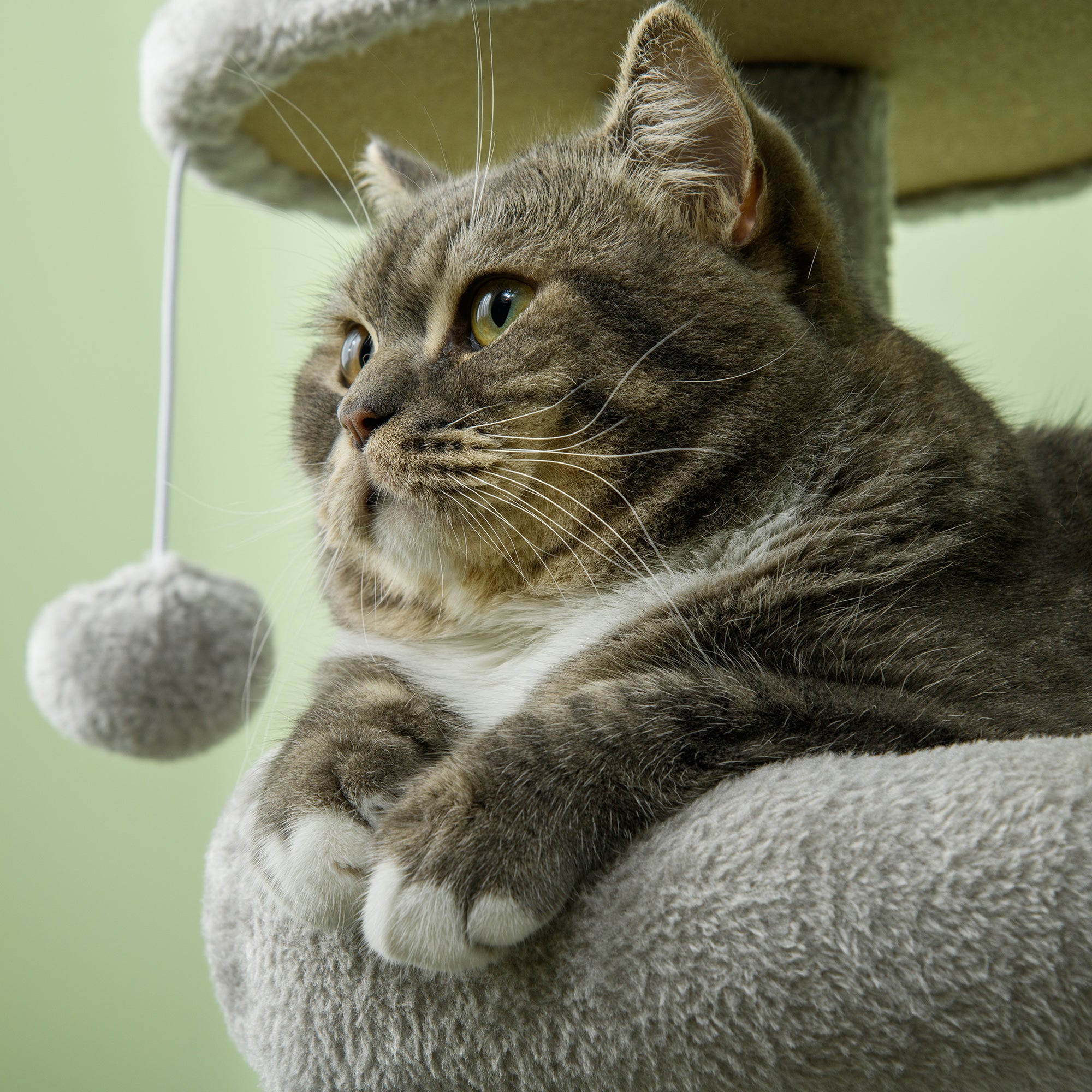 Cat Tree Climbing Scratching Post for Cat Height 104 cm Multi-Level Activity Center Reinforced Columns 3 Hanging Balls Light Grey