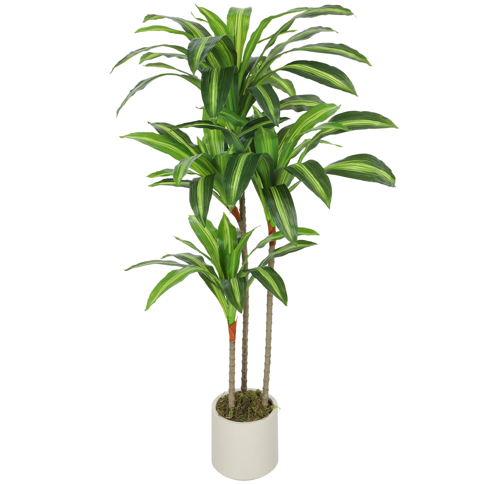 Dracaena Artificial Plant with Adjustable Branches, White PP & Cement Pot – PEVA Leaves & Wood Trunk, 60 × 40 × 120 cm (24 × 16 × 47 in)