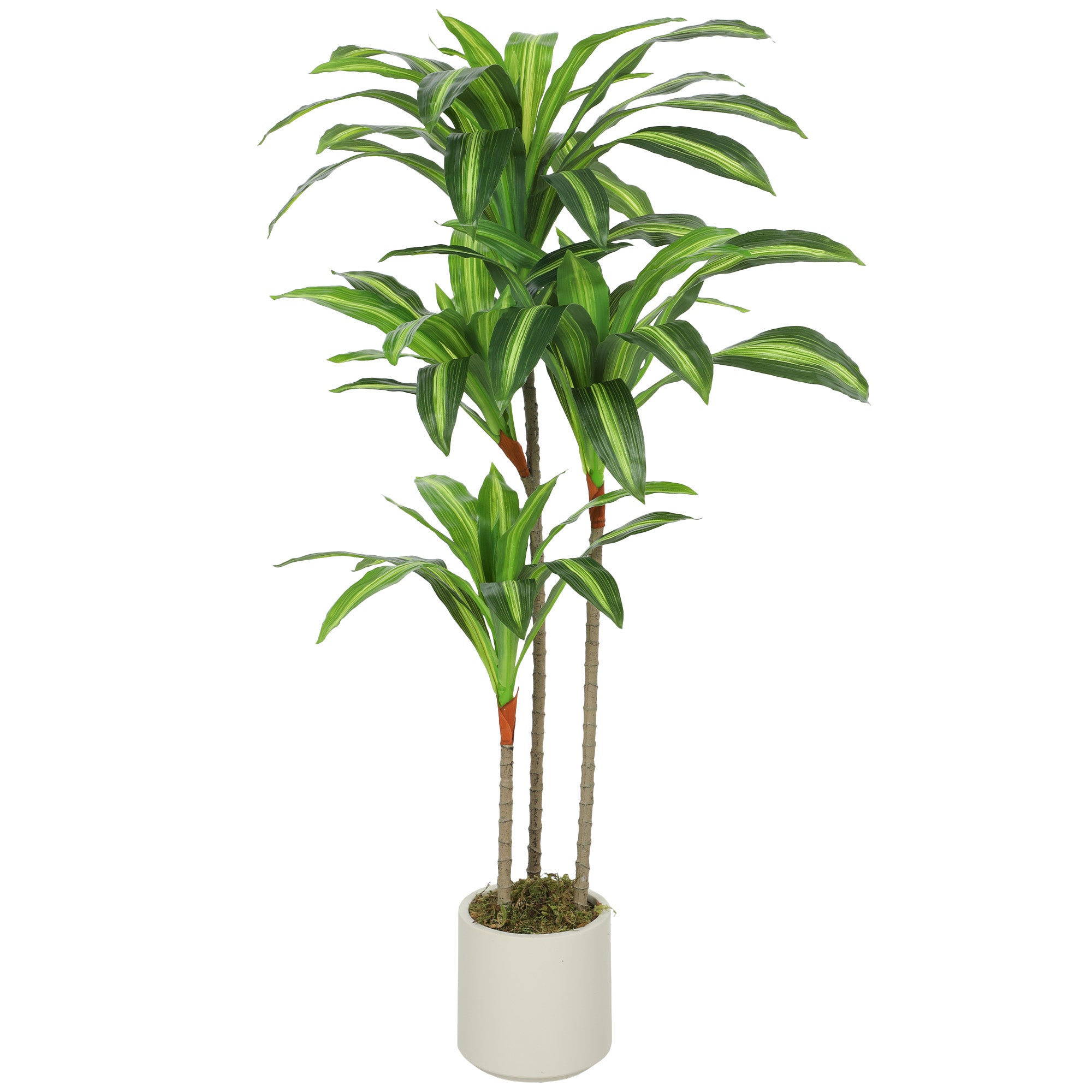 Dracaena Artificial Plant with Adjustable Branches, White PP & Cement Pot – PEVA Leaves & Wood Trunk, 60 × 40 × 120 cm (24 × 16 × 47 in)