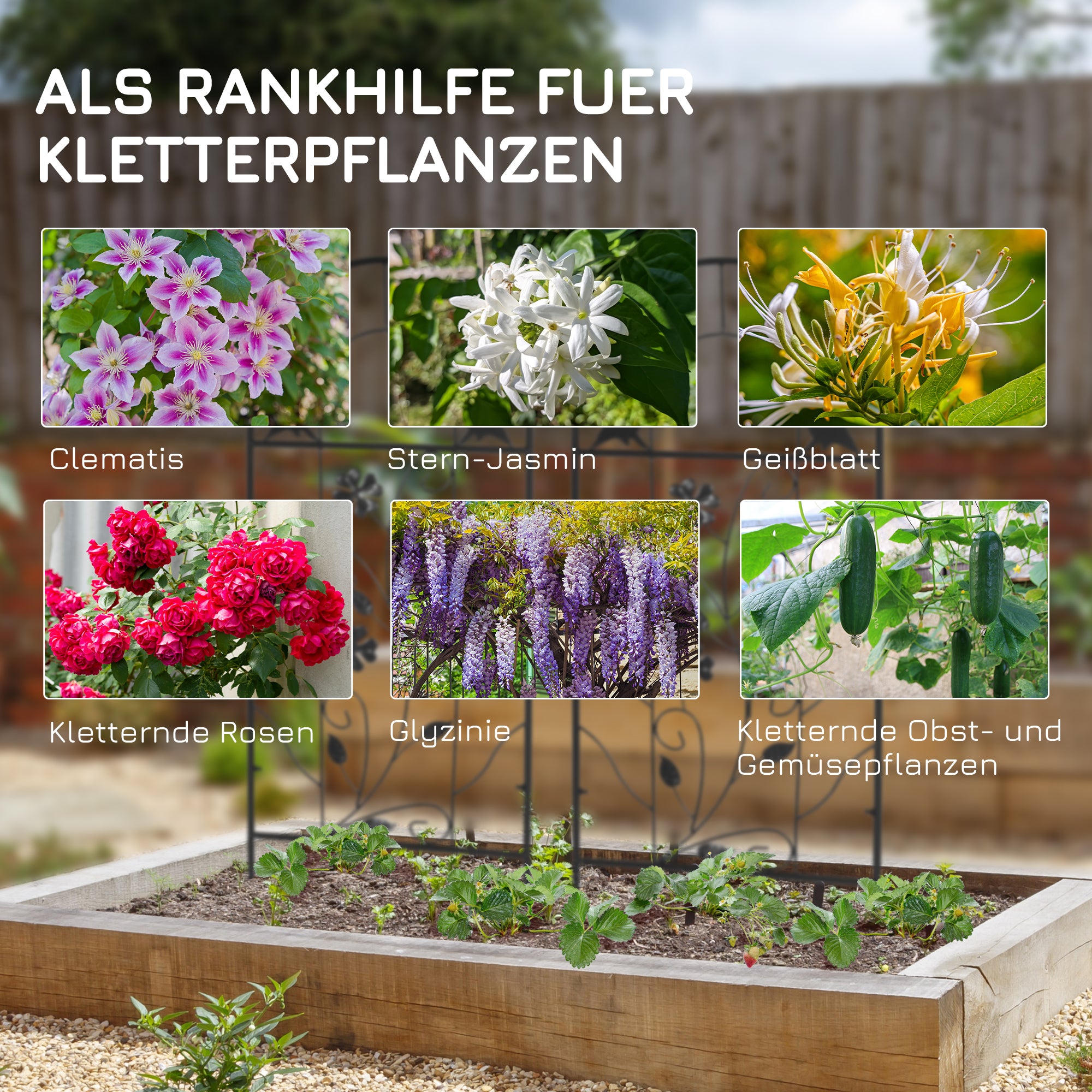 Metal Trellis 2-Piece Set for Climbing Plants Trellis 38 x 98 cm Garden Trellis for Indoor Plants Plant Trellis for Flowers Climbing Plants Black