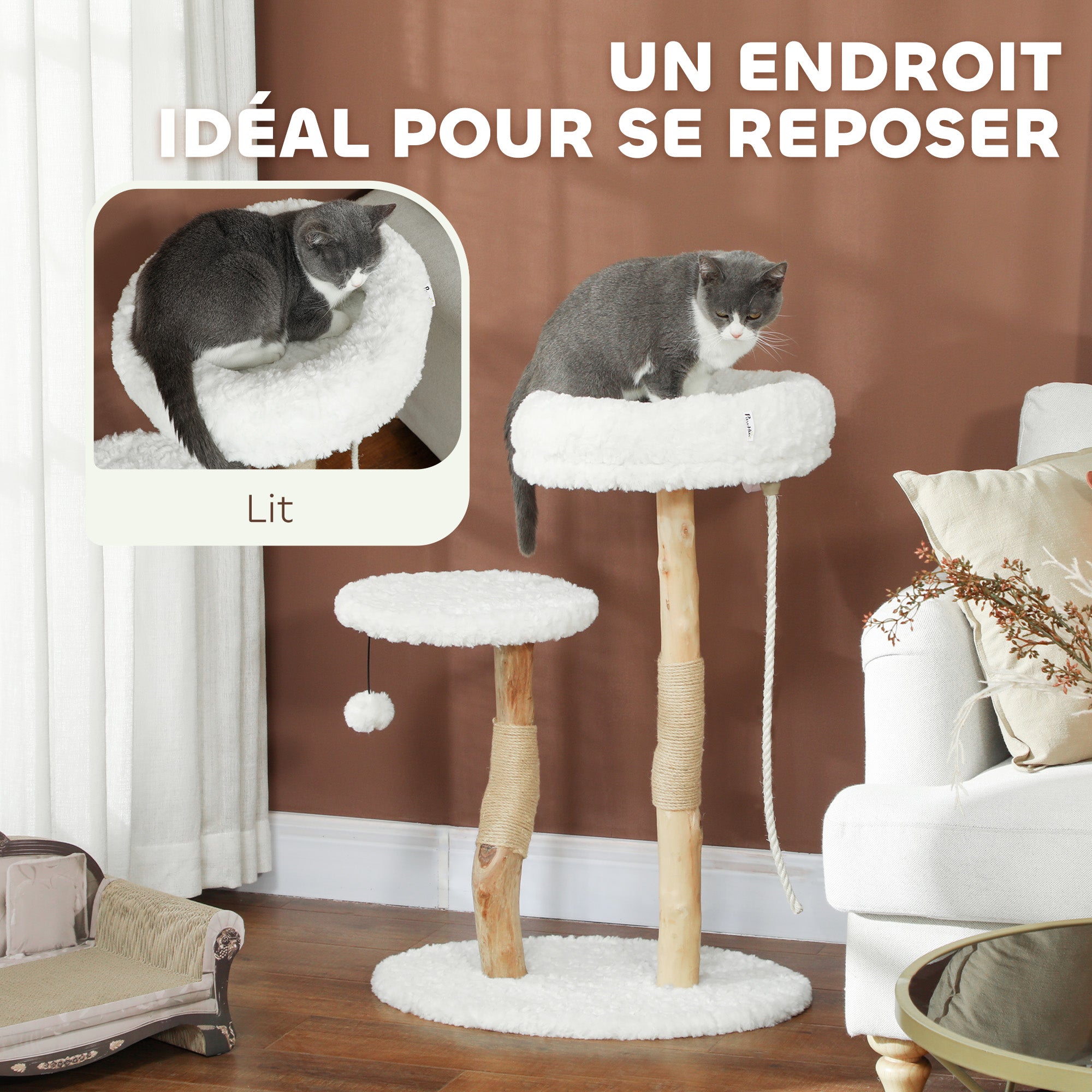 Cat Tree, 85 cm, Climbing Tree with Bed, Scratching Posts, Jump Platform, Ball and Play Rope, for Indoor, White