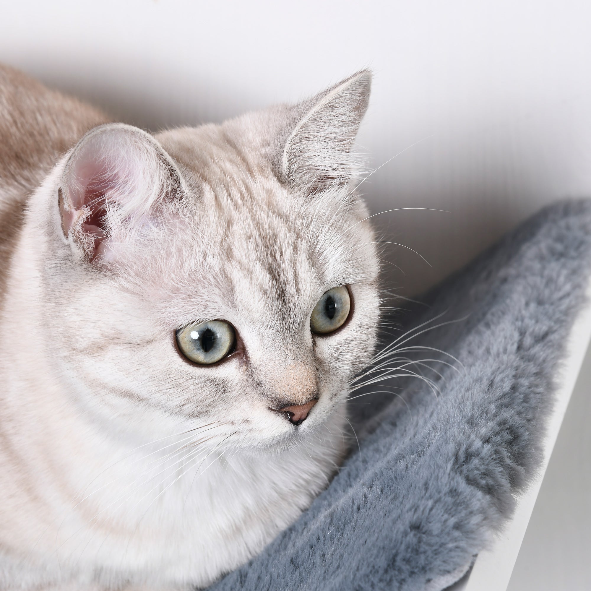 Cat Shelf Cat Wall Shelf Cat Bed Cat Shelf Wall Mount Plush Cover Gray 41 x 28 x 21 cm