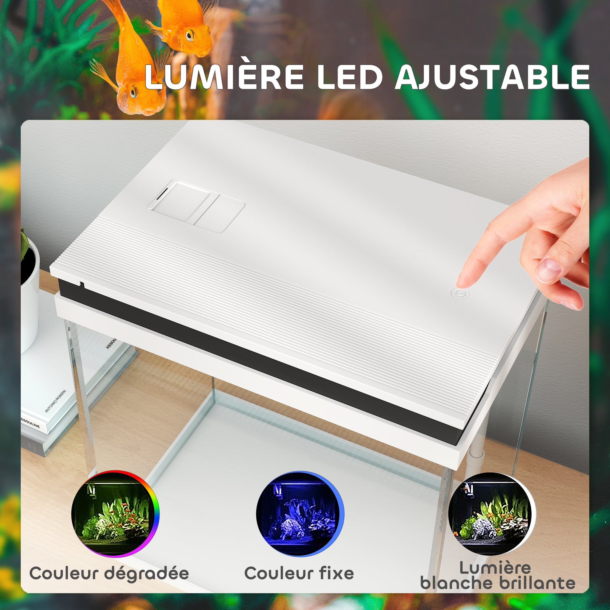 Small 14L complete glass aquarium with filtration system, LED lighting, water pump, lid, for tropical, goldfish, white fish