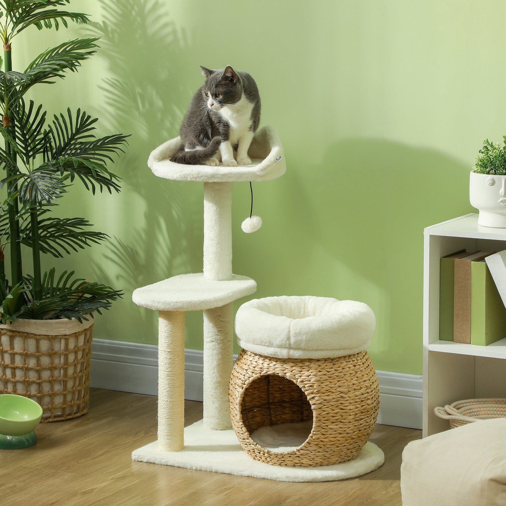 Scratching Post 79 cm Cat Tree with Cat Cave, Bed, Play Balls, Cat Scratching Post with Sisal Scratching Posts, for Cats up to 5 kg, Cream White