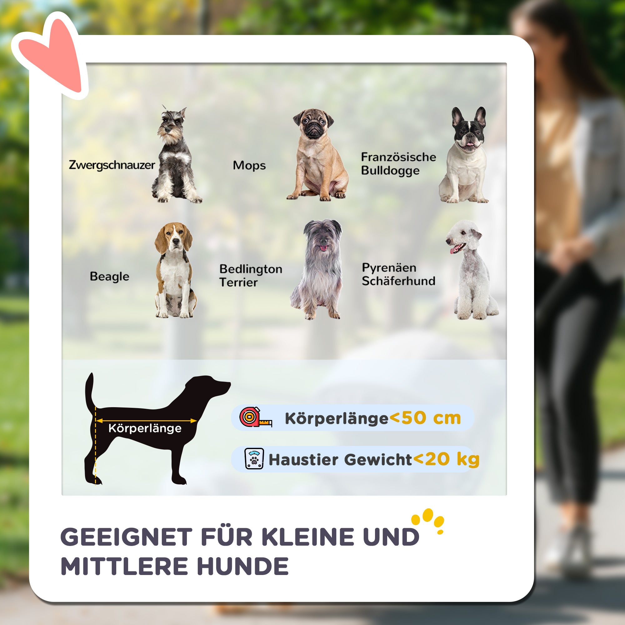 Dog Stroller, Foldable Dog Buggy, Dog Trolley with Cushion, Cat Buggy up to 20 kg, Cat Carriage for Small and Medium-Sized Dogs with Side Pockets, Mesh Window, Oxford Fabric, Gray