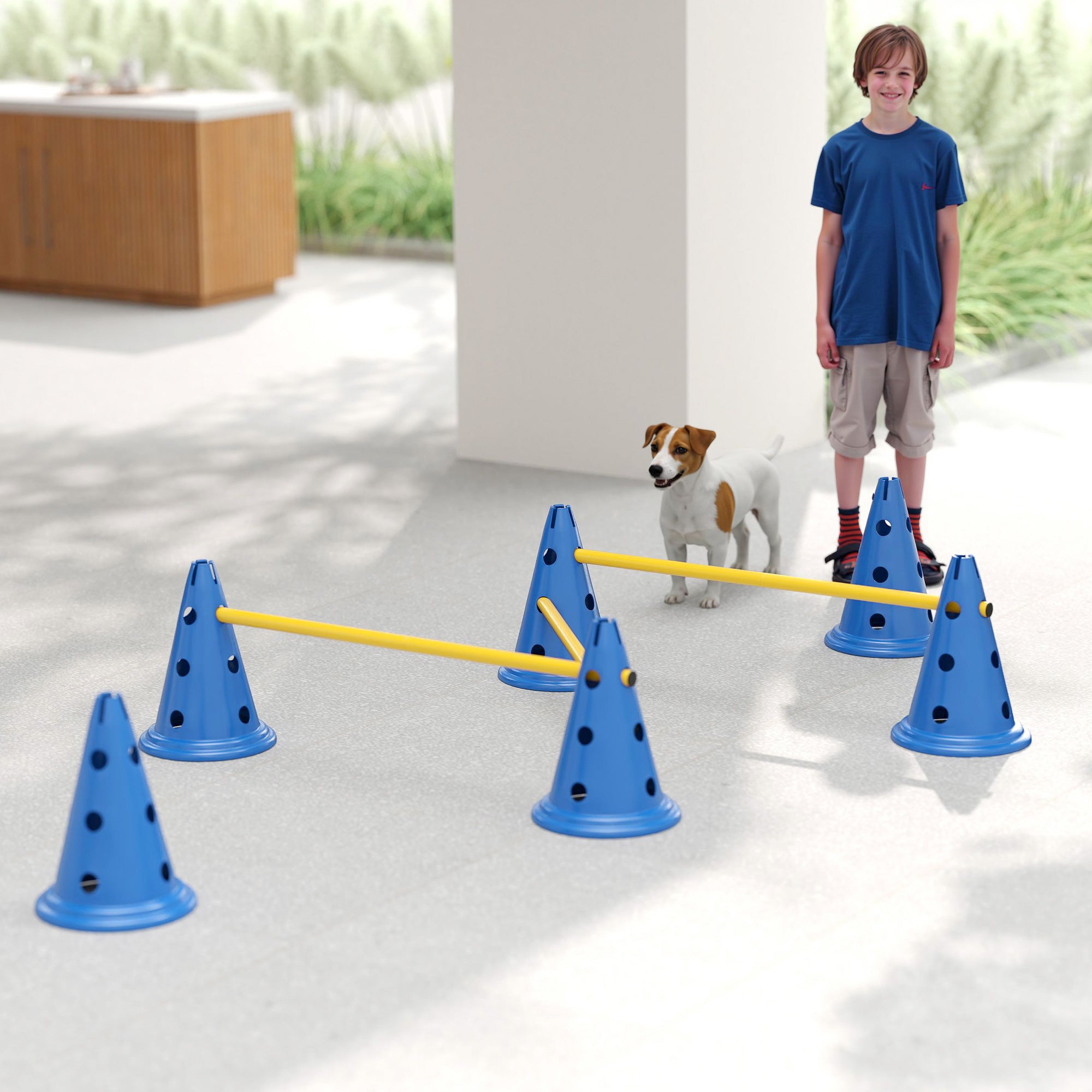 3-Piece Dog Agility Set with 6 Cones, 3 Adjustable Hurdles & Carry Bag