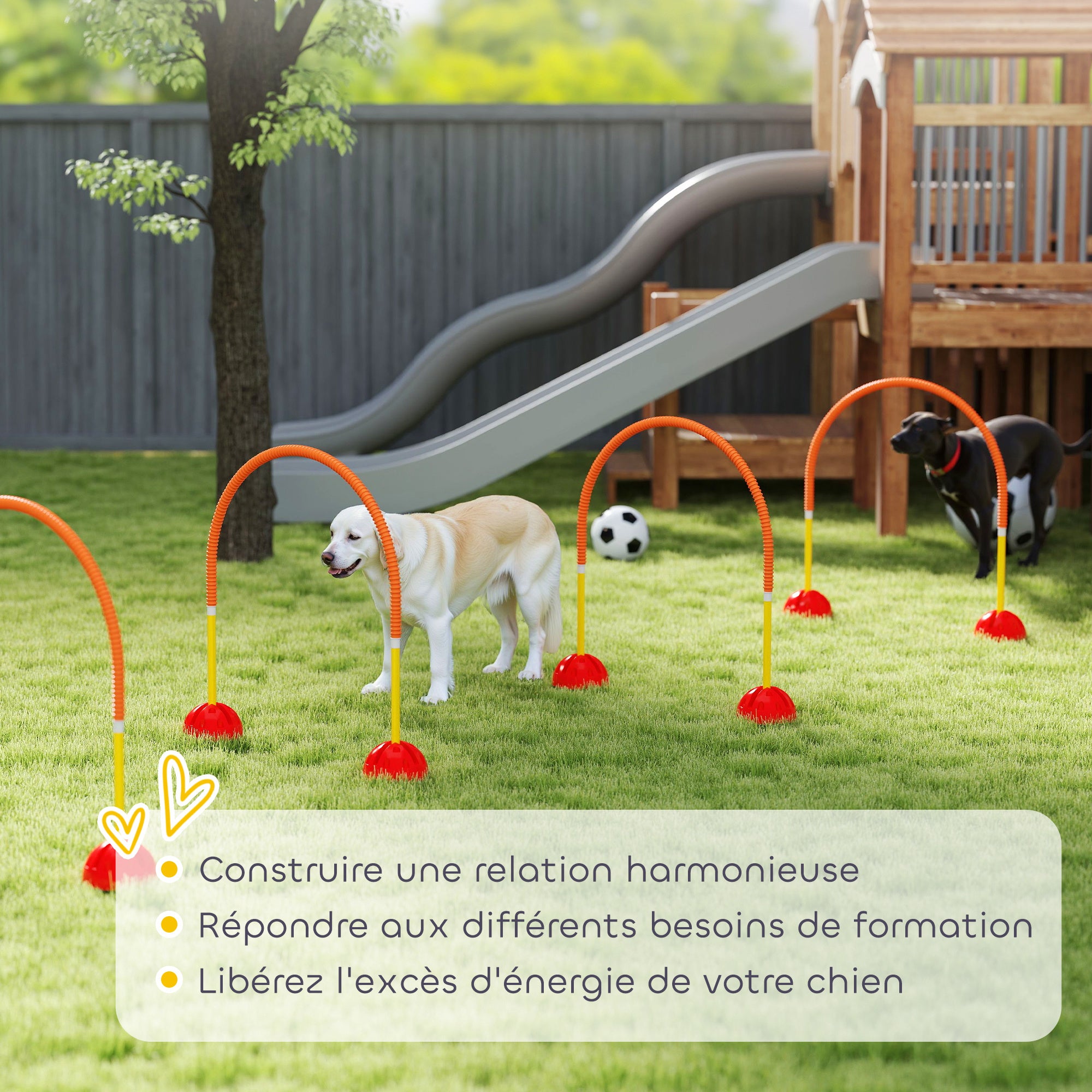 Dog Agility Equipment Kit, Dog Agility Kit with 4 Adjustable Width Doors, Carry Bag, Easy Assembly, Portable Dog Agility, Yellow and Orange