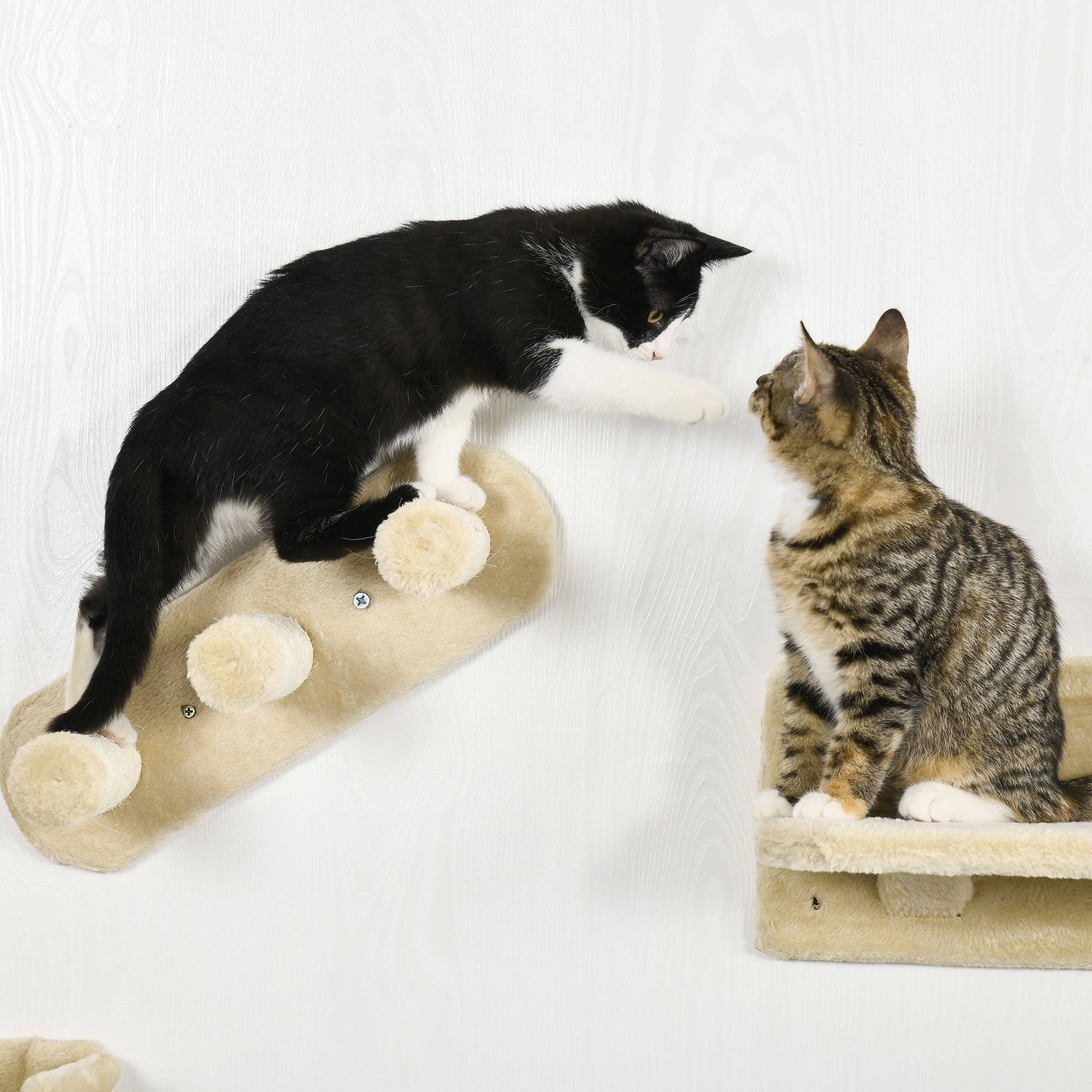 Cat Climbing Wall 4-Piece Cat Climbing Wall Set with Cat Stairs, Cat Bridge, Hammock, Scratching Post with Jump Platform, Wall-Mounted Cat Tree, Wall Cat Furniture up to 5 kg, Beige
