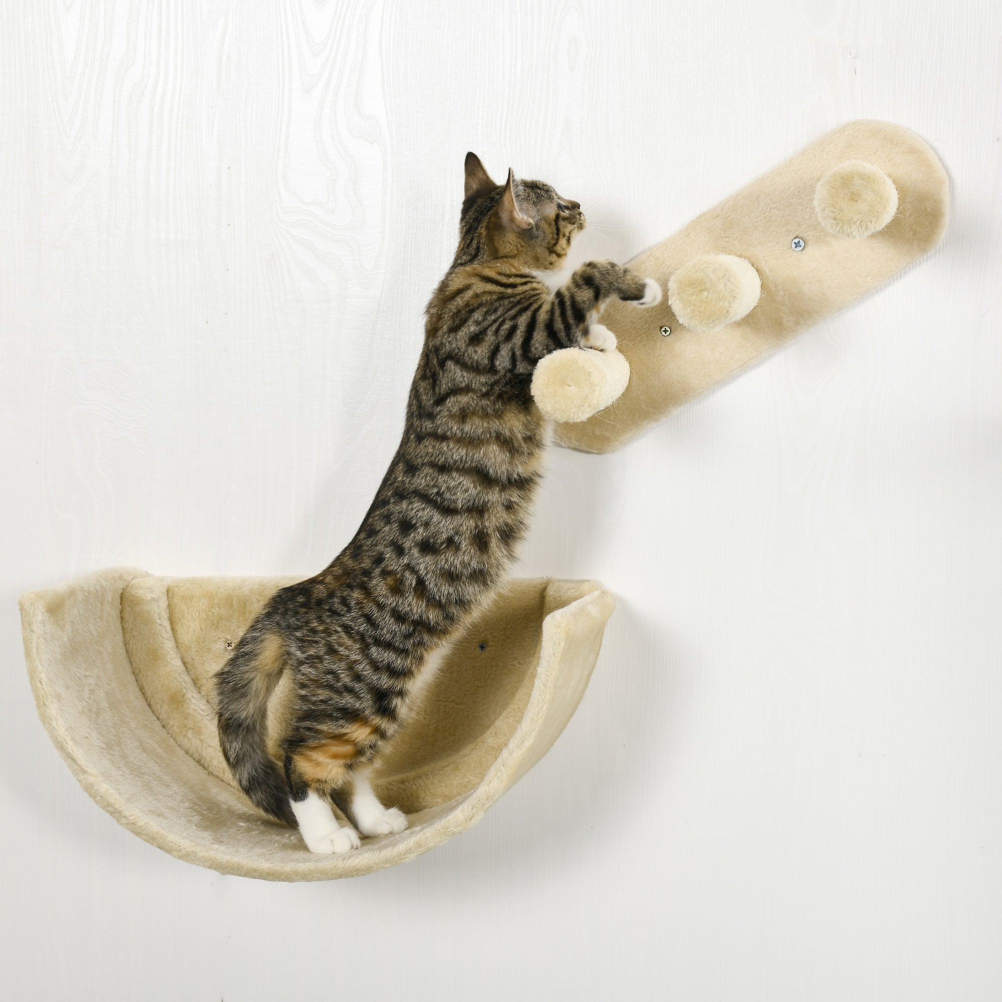Cat Climbing Wall 4-Piece Cat Climbing Wall Set with Cat Stairs, Cat Bridge, Hammock, Scratching Post with Jump Platform, Wall-Mounted Cat Tree, Wall Cat Furniture up to 5 kg, Beige