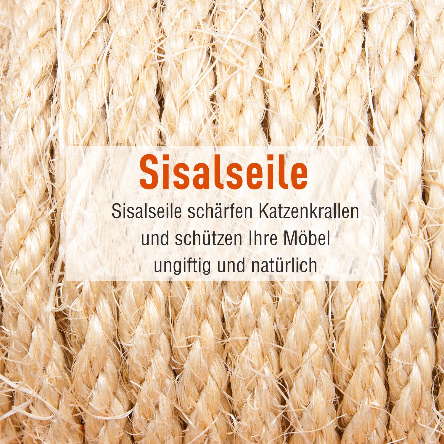 Cat Tree with Cat Cave, XXL Cat Scratching Post Climbing Tree for Cats Multi-Level Activity Center Plush Gray 49 x 49 x 173 cm