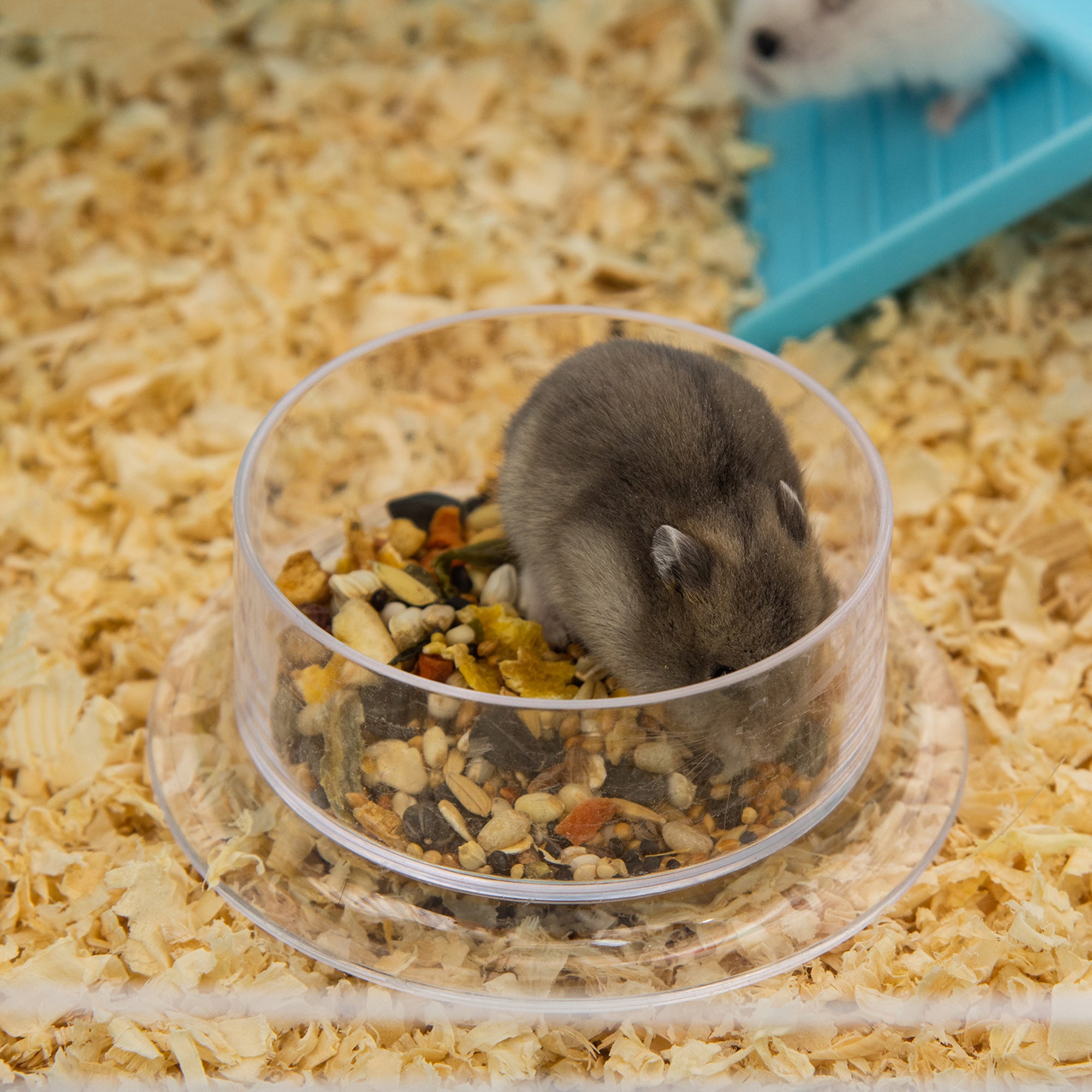 Hamster Rat Rodent Cage 3 Levels with Tunnel, Water Bottle, Wheel, House, Ladders dim. 59L x 36W x 47H cm