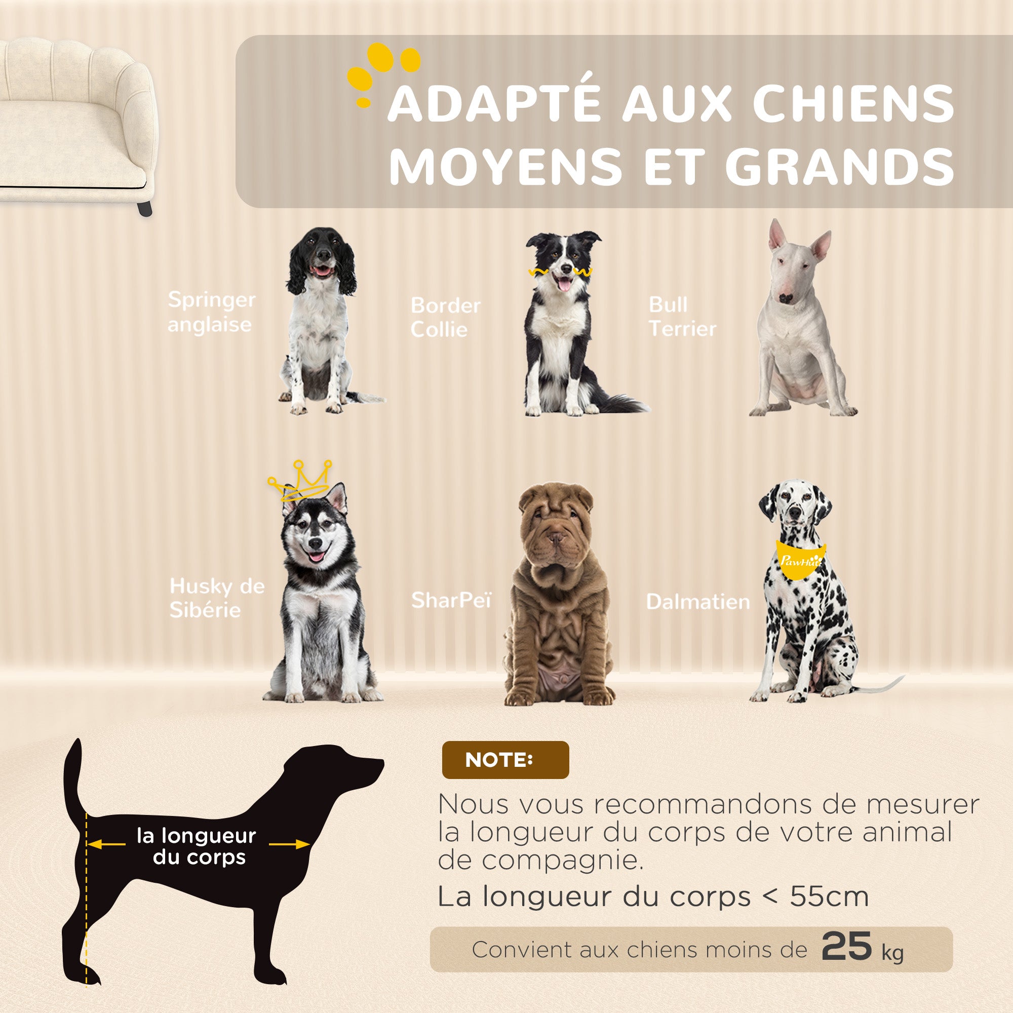 Dog Sofa Bed for Dog Cat Contemporary Shell Design Dimensions 98L x 60W x 35H cm Plush Velvet Cushion Cream