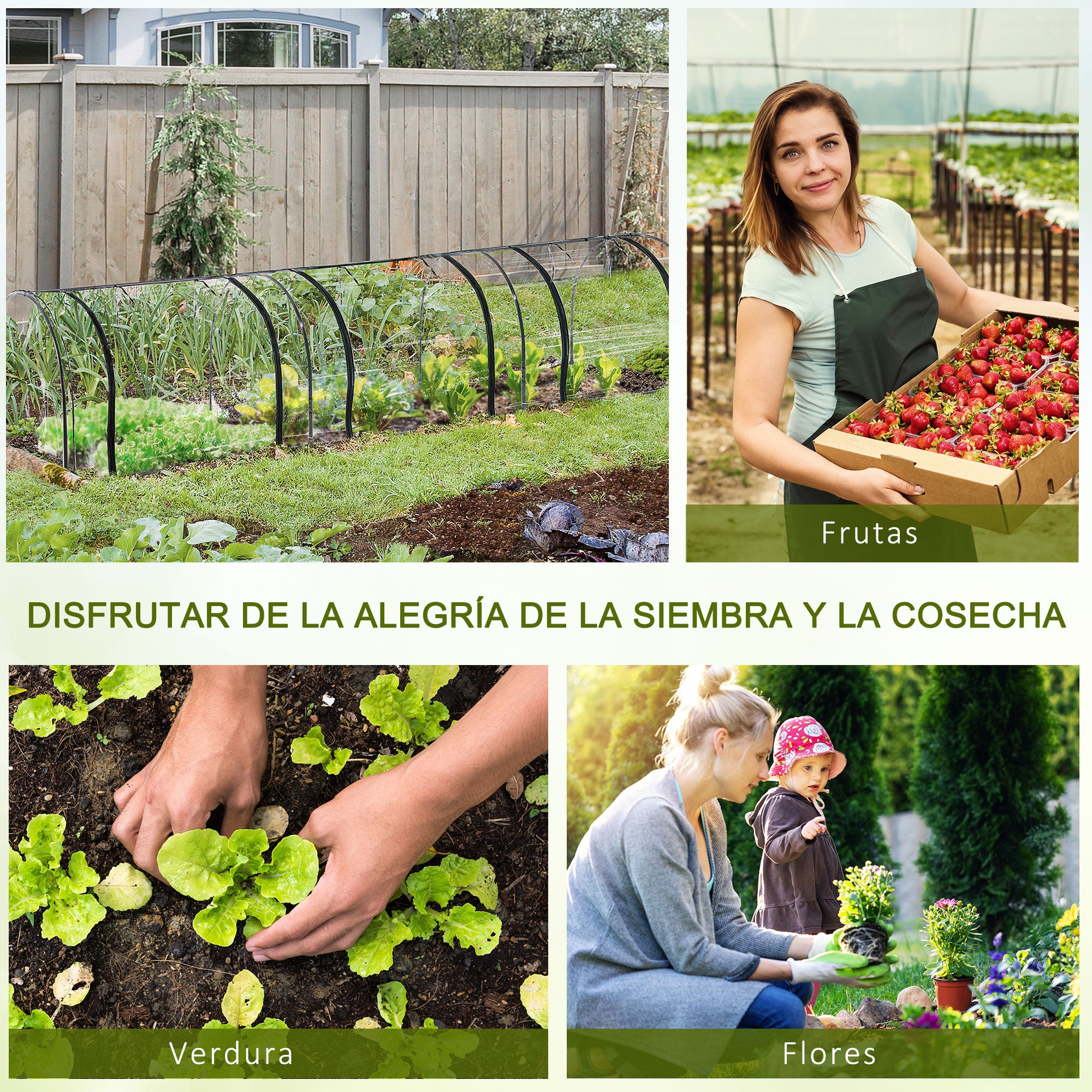 Small Greenhouse 137.8x39.4x31.5 inches Garden Greenhouse with 3 Roll-Up Windows Steel Frame for Crops Plants Flowers Clear