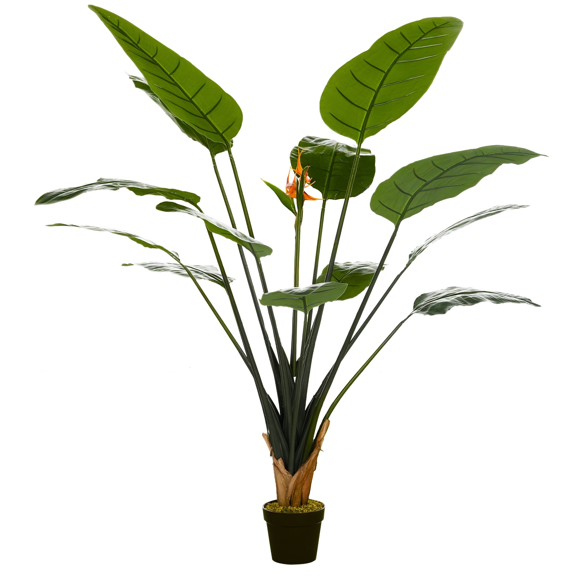 Artificial Bird of Paradise Strelitzia Plant Height 1.80 m - 13 Leaves and 2 Flowers High Realism Pot Included