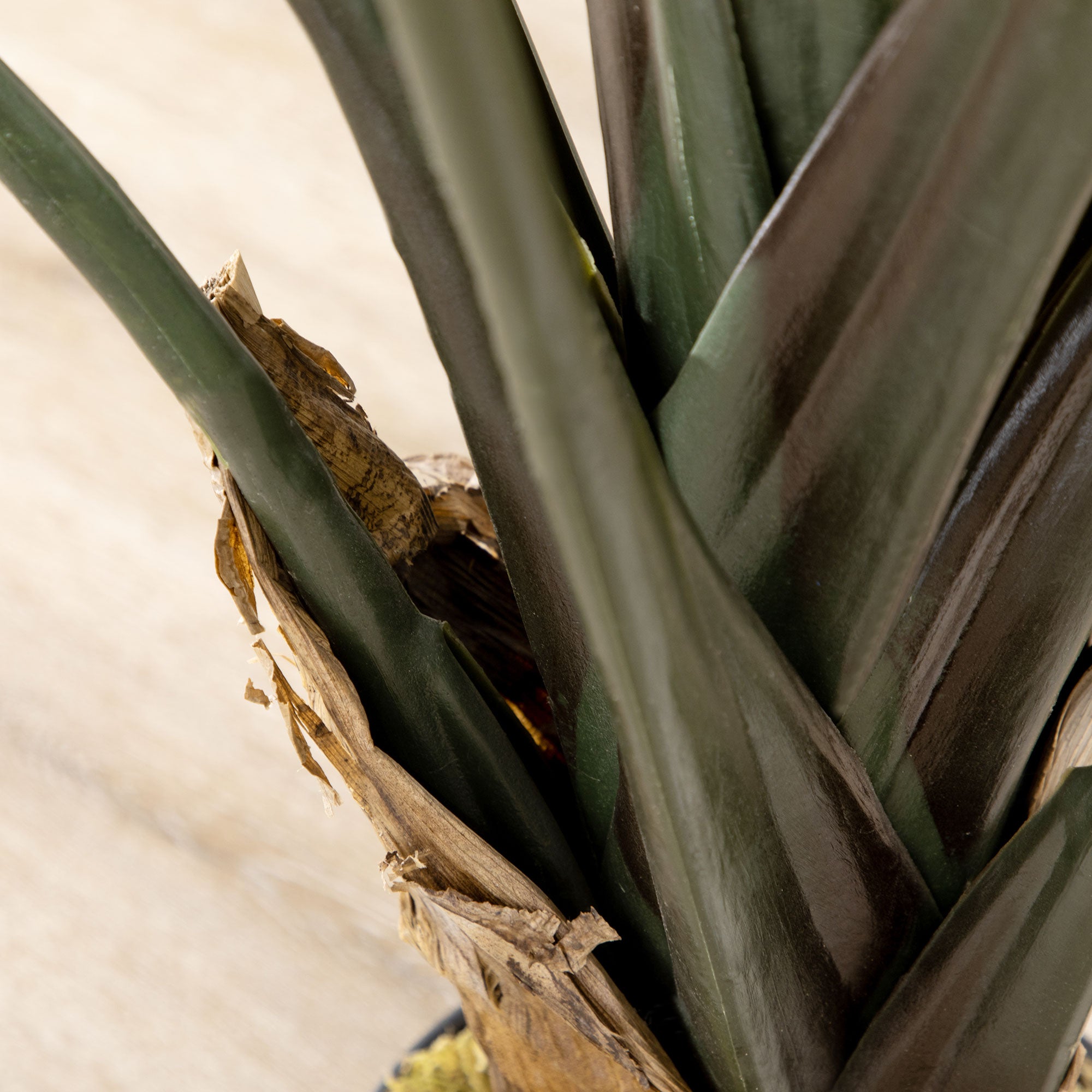 Artificial Bird of Paradise Strelitzia Plant Height 1.80 m - 13 Leaves and 2 Flowers High Realism Pot Included