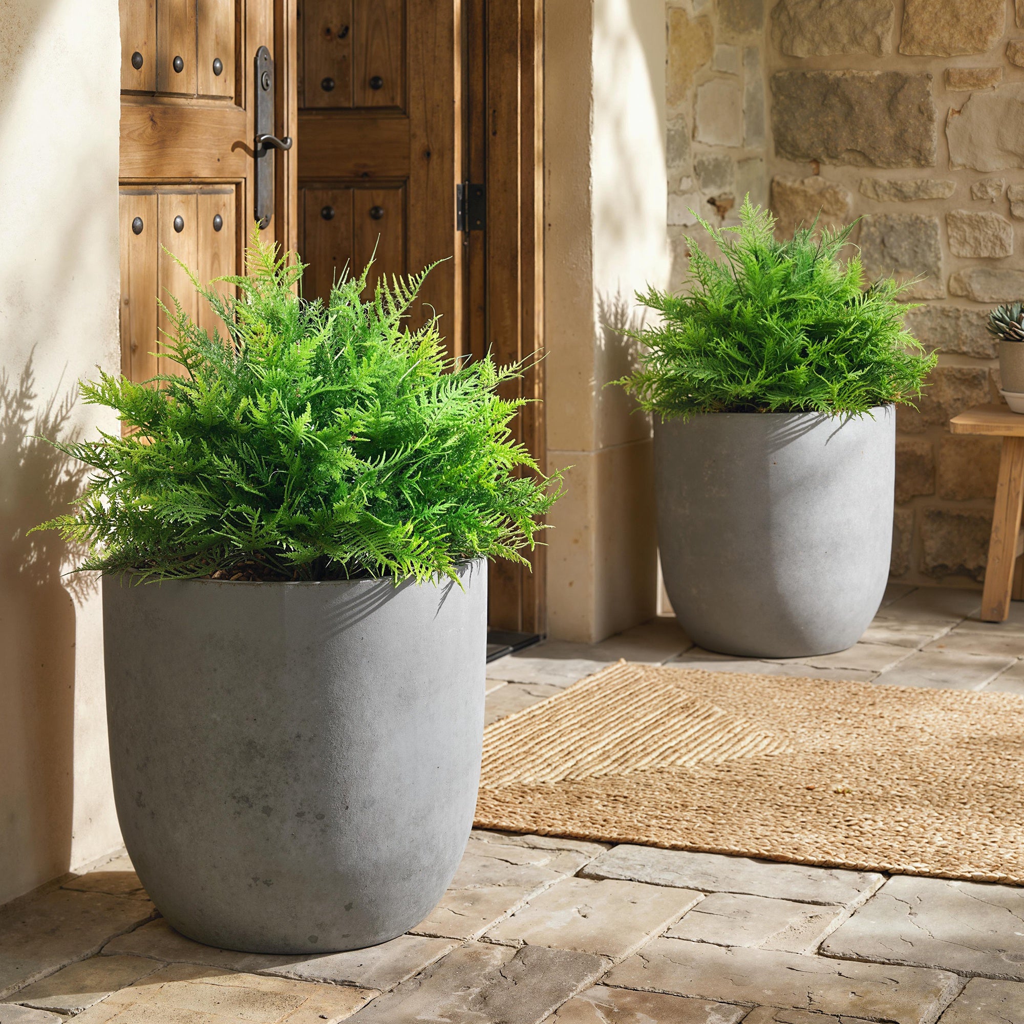 2-Pack Artificial Boston Ferns, 24 in Faux Potted Plants – Lifelike Fake Ferns for Living Room, Bedroom, Garden, Office, Gift
