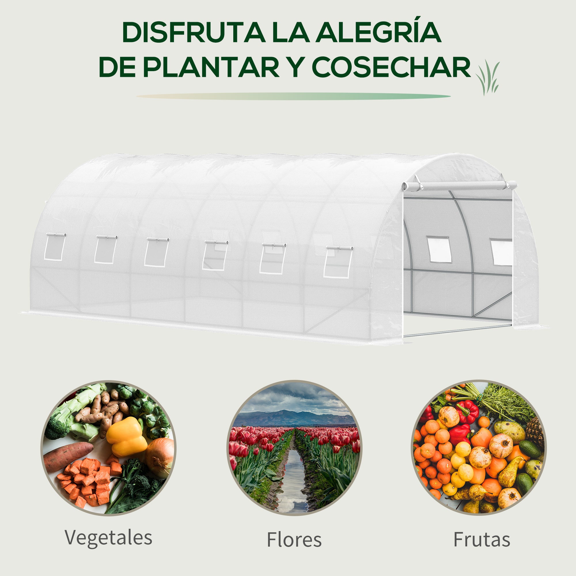 6x3x2 m Tunnel Greenhouse Garden with Roll-Up Door 12 Mesh Windows PE 140 g/m² and Galvanized Metal for Growing Plants Vegetables White