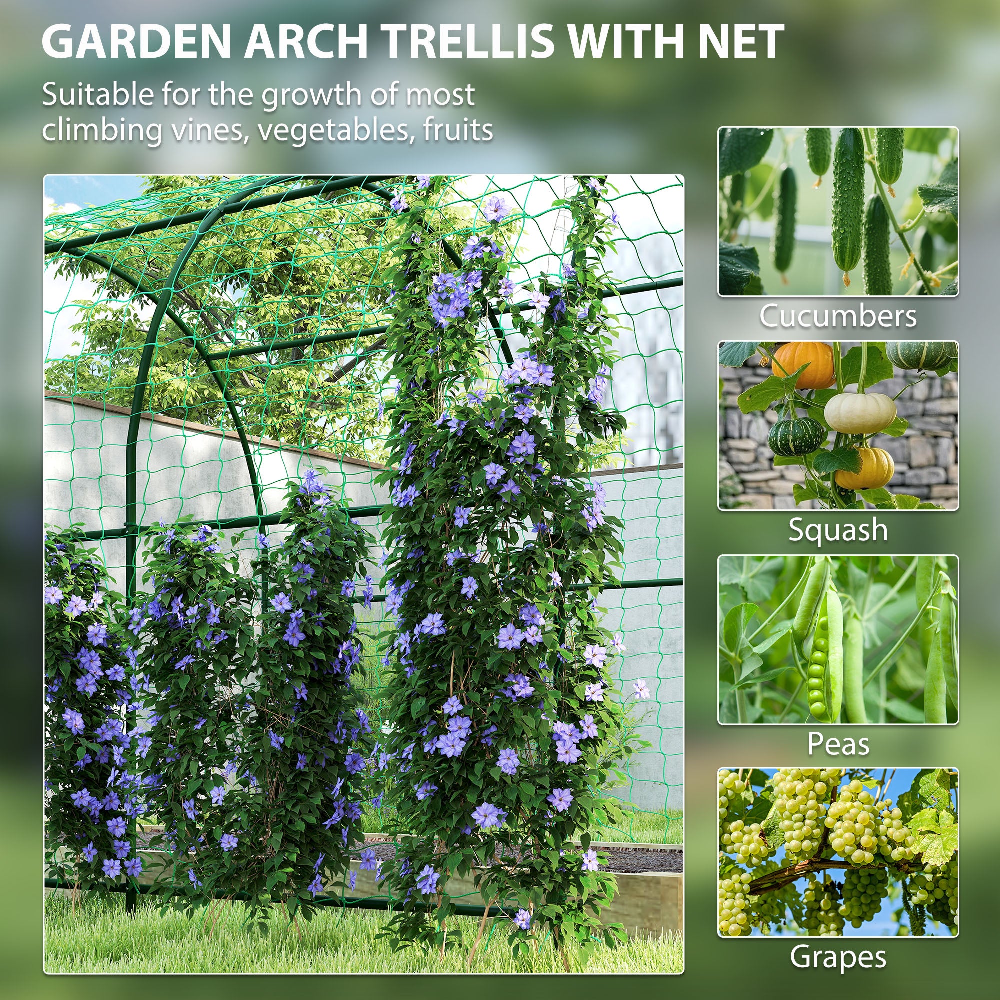 Rust-Resistant Curved Metal Trellis Arch for Tomatoes & Climbers, 210 x 250 x 216 cm – Dark Green