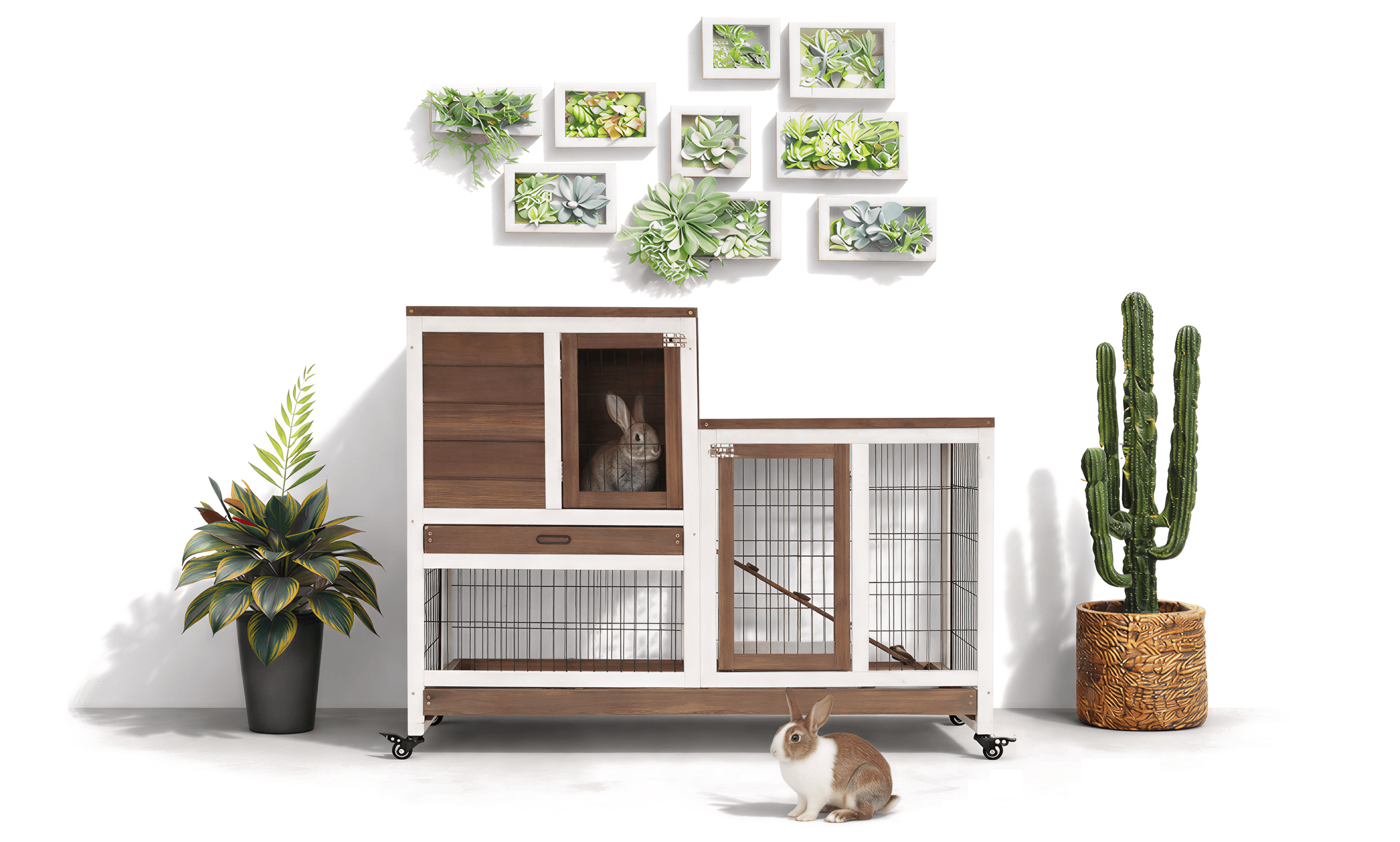 Pet cage with rabbits and decorative plants on a white background
