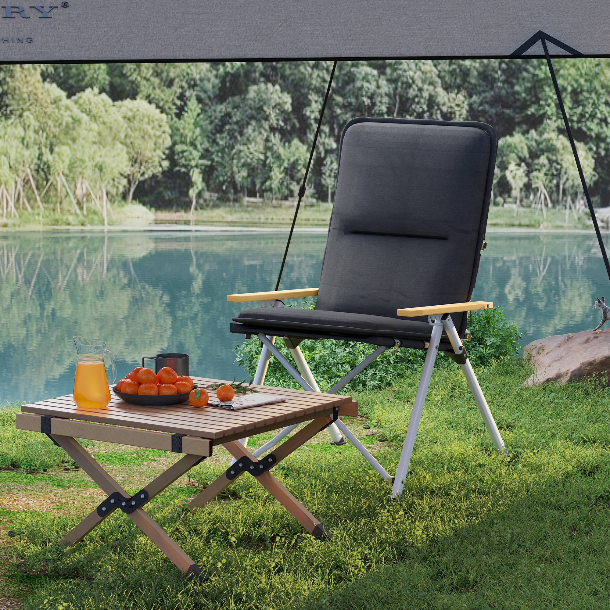 Camping Chair Folding Fishing Chair Portable, High Back, Removable Cushion and Carrying Bag, Garden Chair for Hiking, Fishing, Beach, and Picnic, 59x67x96cm, Black