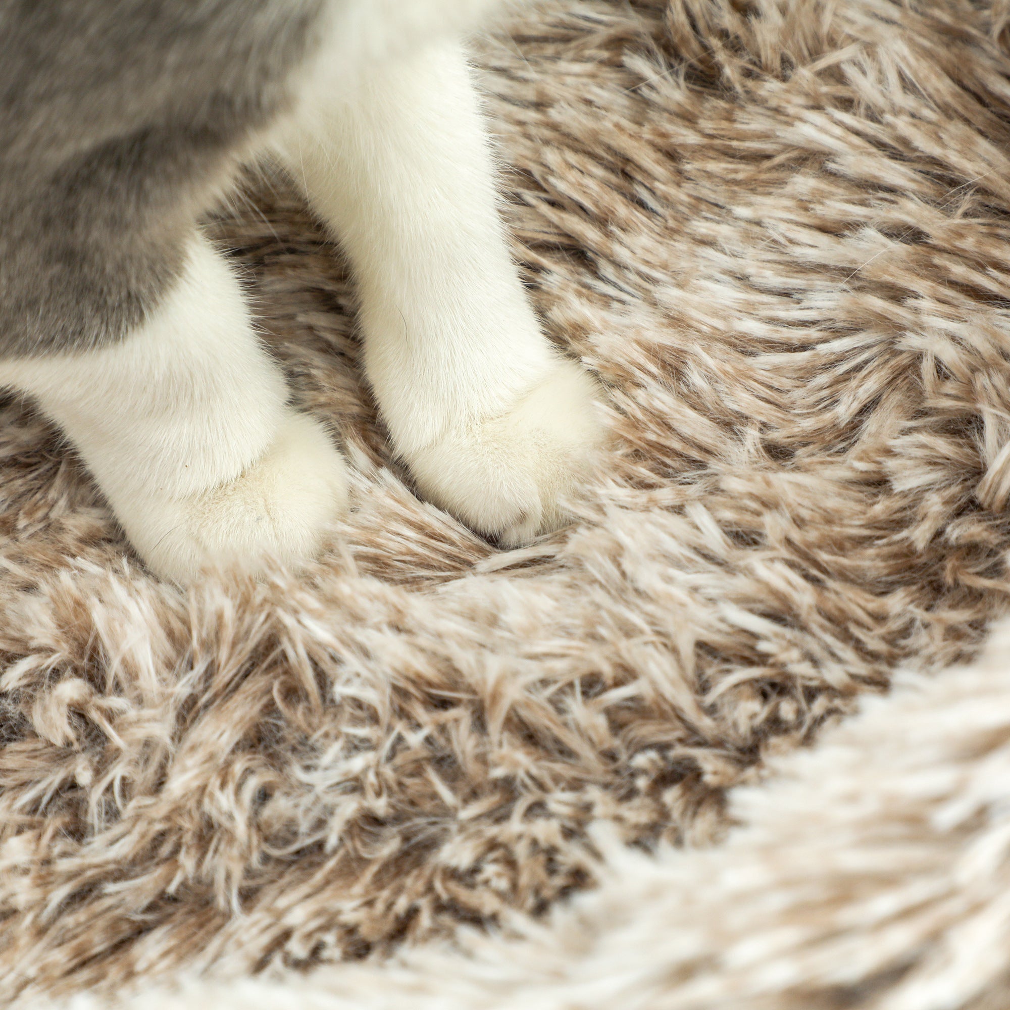 Cat Tree 87 cm High Cat Tower with Bed, Thick Pole, Cat Scratching Post with Sisal Scratching Columns, for Cats Up to 6 kg, Indoor, Brown