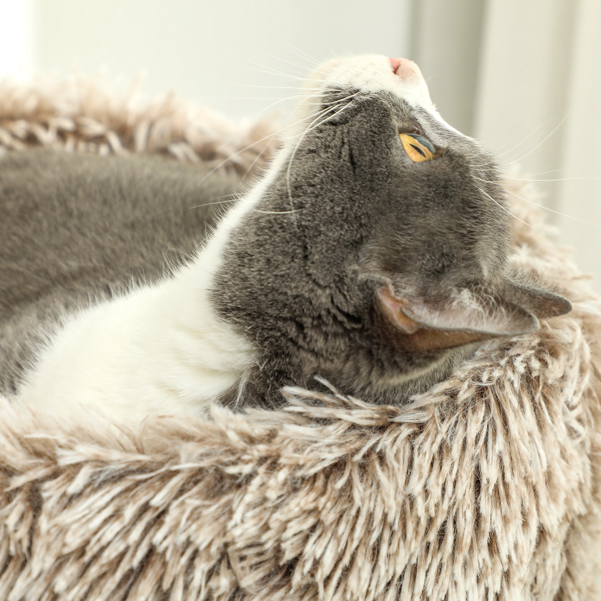 Cat Tree 87 cm High Cat Tower with Bed, Thick Pole, Cat Scratching Post with Sisal Scratching Columns, for Cats Up to 6 kg, Indoor, Brown