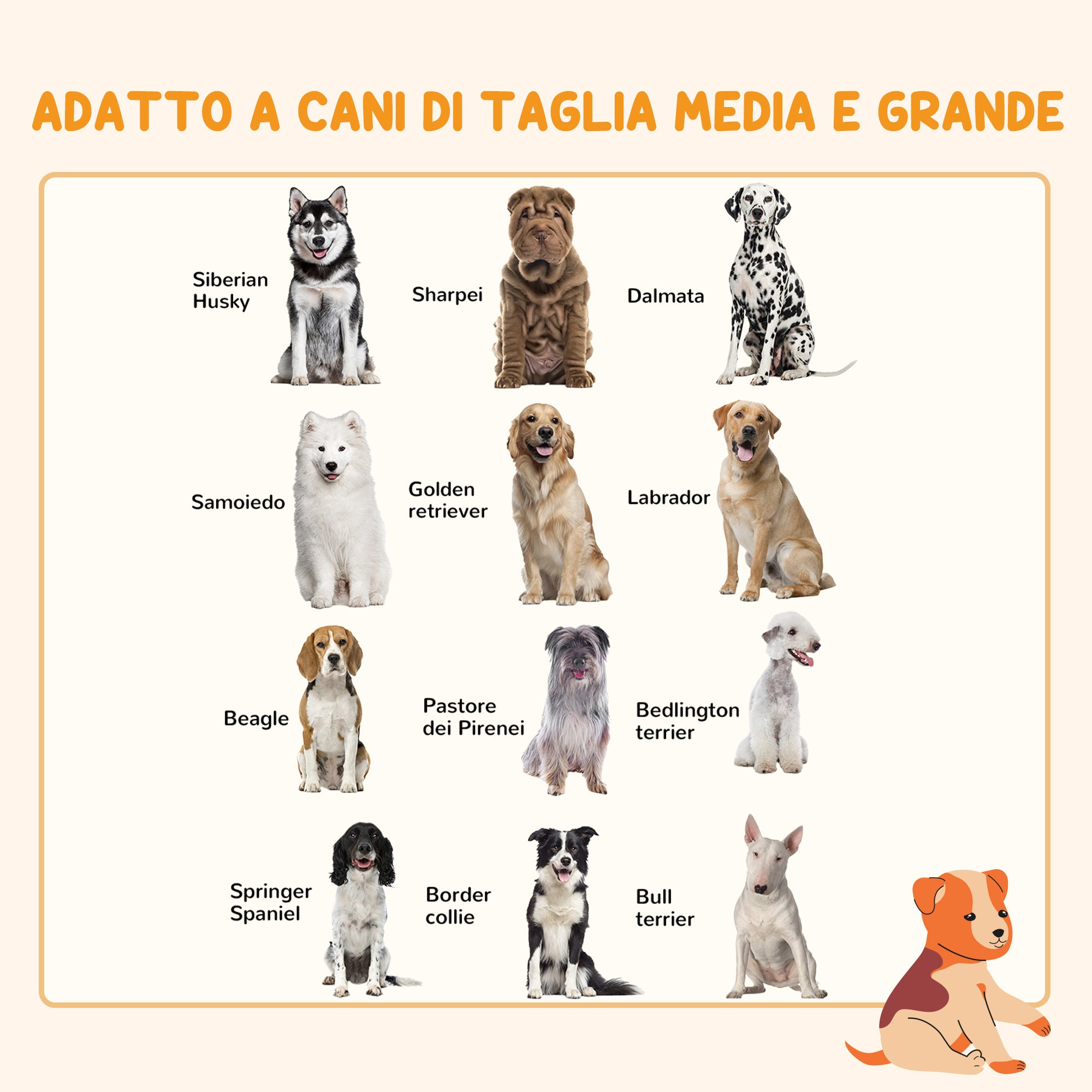 Foldable Gate for Medium and Large Dogs with Double Lock 6-Panel Steel and Plastic Construction, Indoor Safety Gate, 123x102x100 cm, Black