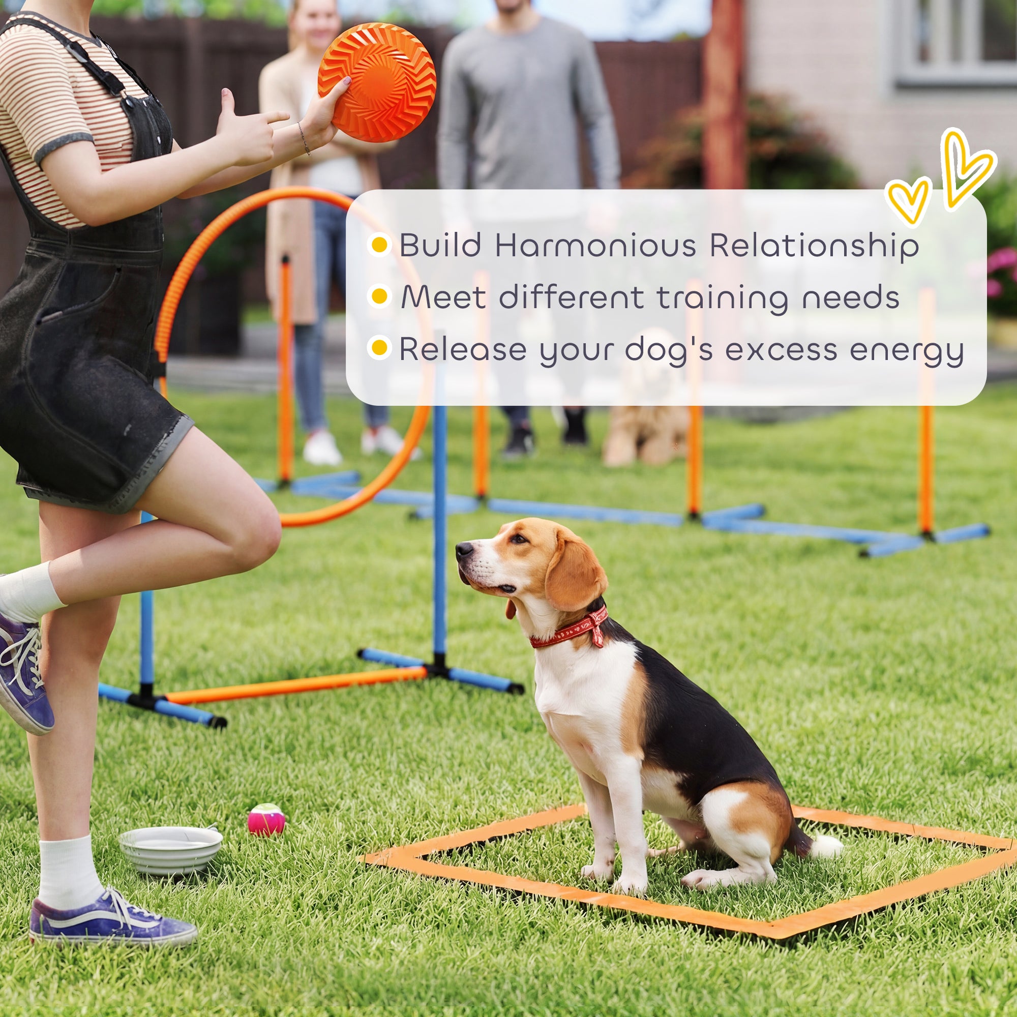 11-Piece Dog Agility Set — Adjustable Jumps, 2 Tunnels, Hoop, Weave Poles & Carry Bag