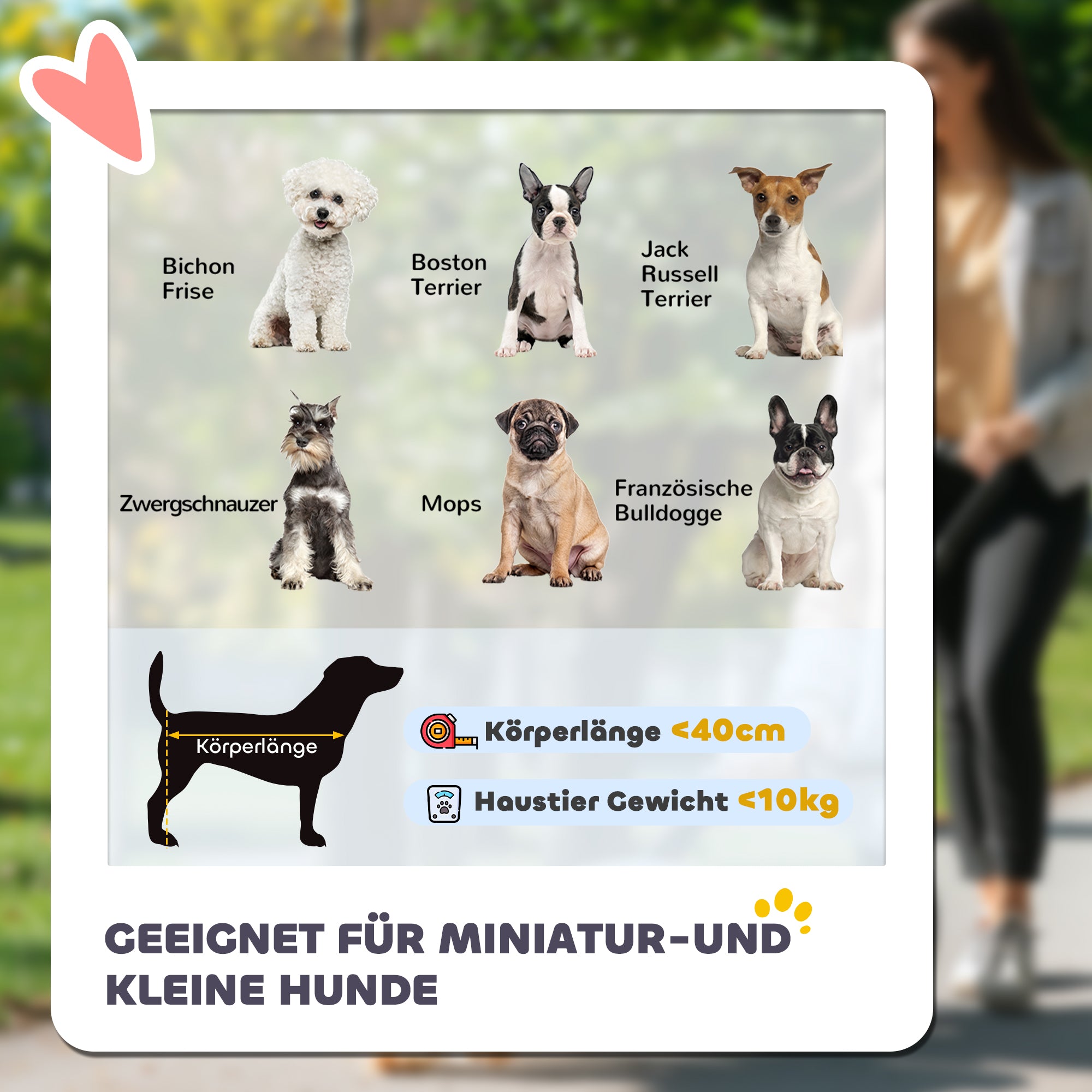 2 in 1 Dog Stroller Pet Buggy Foldable for Dogs & Cats up to 10 kg Cat Buggy with Cushion Mesh Windows Doors Storage Basket Cat Carriage Buggy Dark Green