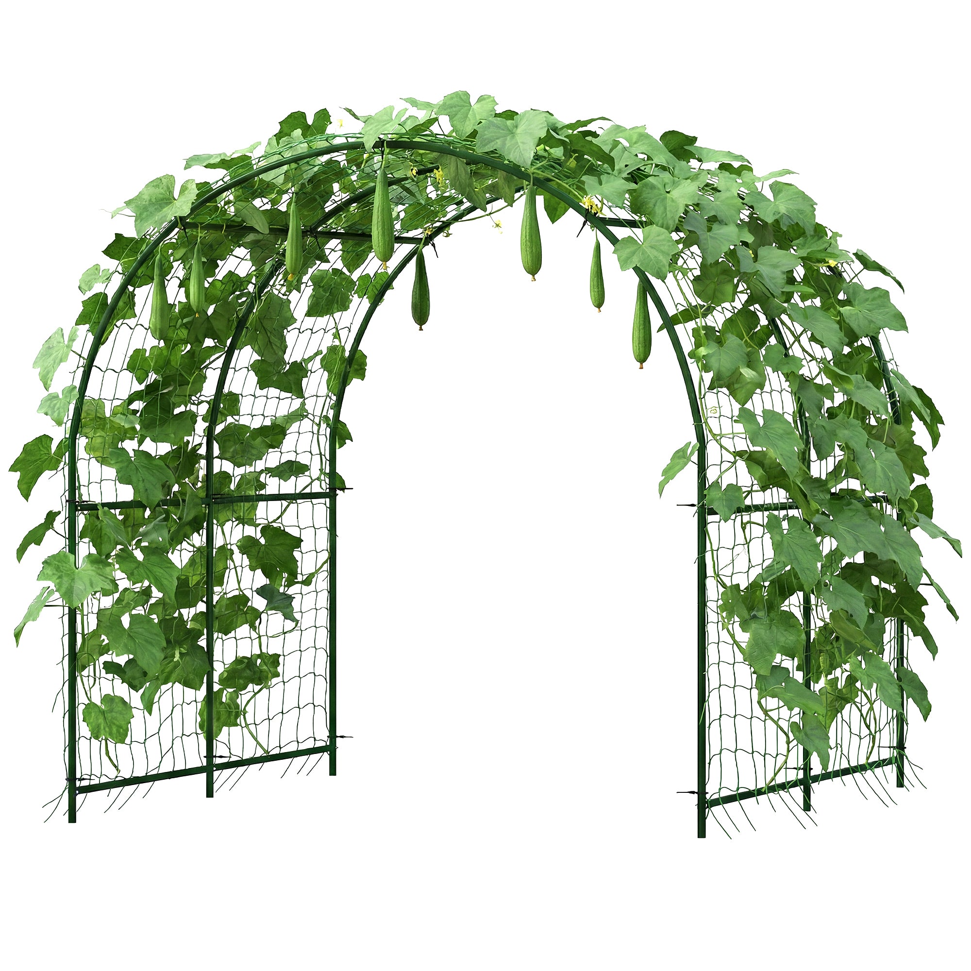 Rust-Resistant Curved Metal Trellis Arch for Tomatoes & Climbers, 210 x 250 x 216 cm – Dark Green