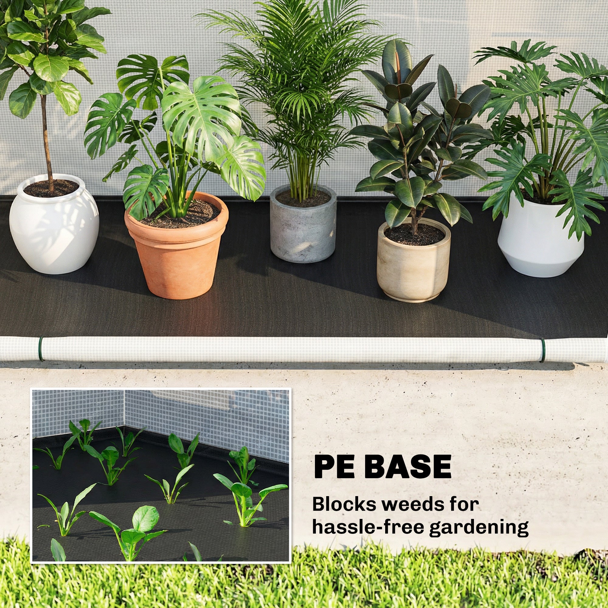 Arched-Top Greenhouse, Foldable PE Tunnel Greenhouse, Winter-Resistant Walk-In Greenhouse for Balcony & Garden, 200 x 80 x 164 cm – for Tomatoes, Vegetables, Flowers, Plants