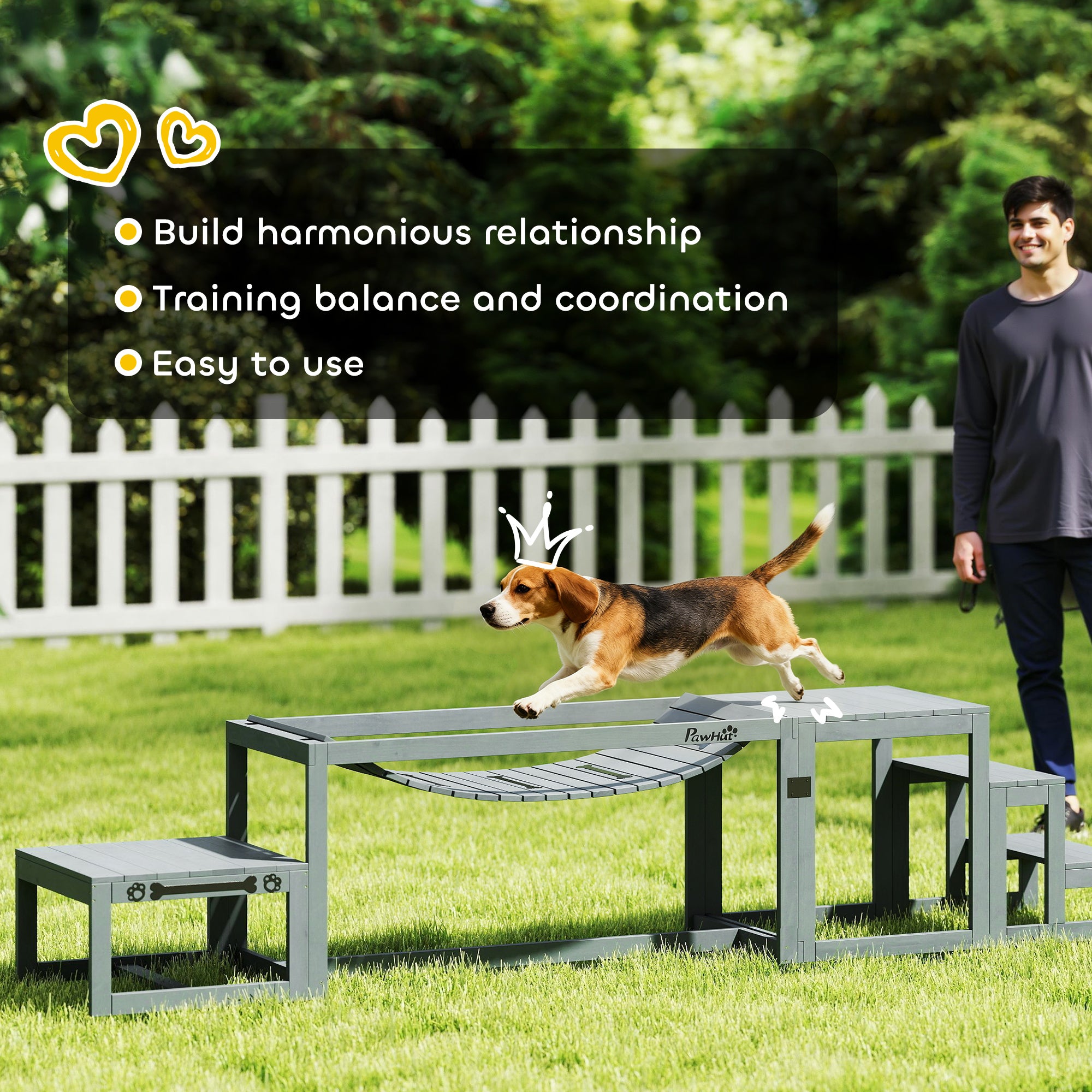 3-Piece Dog Agility Set — Spruce Wood Bridge, Ladder & Platform for Medium to Large Dogs up to 40 kg (88 lb), Gray