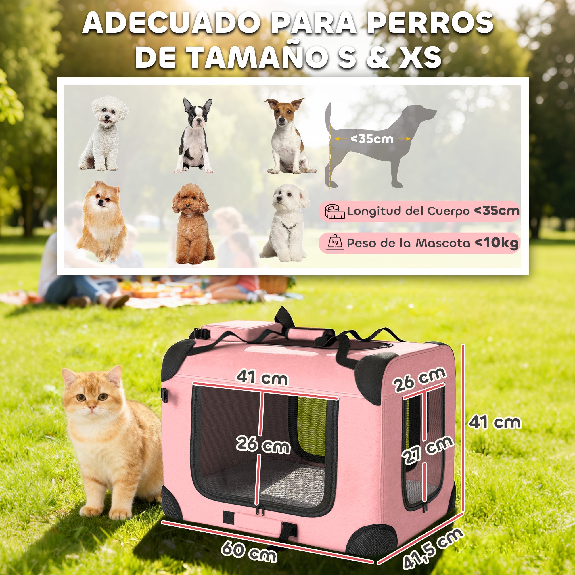 Foldable Pet Carrier, 60 x 41.5 x 41 cm (23.6 x 16.3 x 16.1 in), Mesh Windows, Soft Cushion, 2 Handles, Travel Bag for Mini Dogs & Cats, Pink