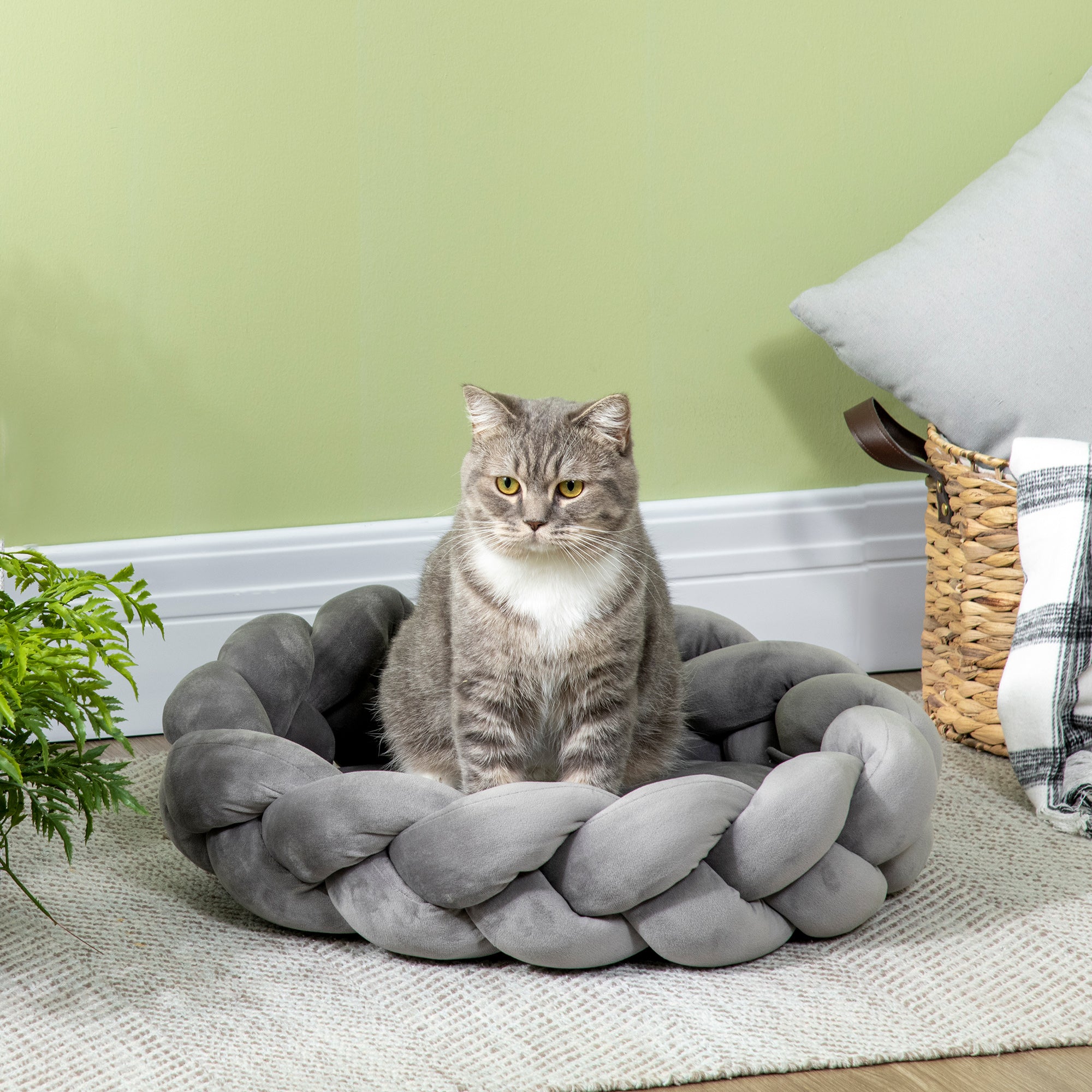 Washable Cat Bed, Dog Bed, Dog Pillow, Pet Bed, Cat Sleeping Place, Pet Mat, Dog Sofa, Donut Pillow for Small Dogs and Kittens, Velvet, Ø55 x 14 cm, Gray