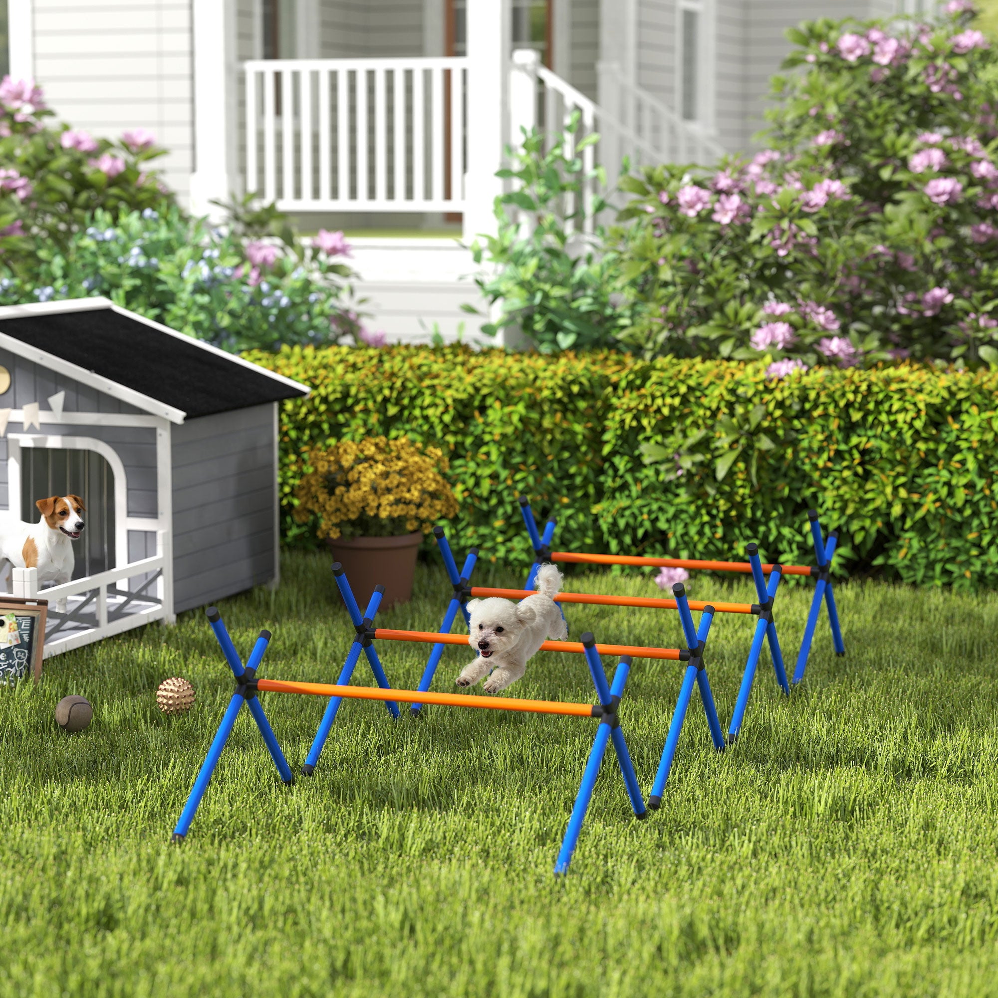 4-Piece Dog Agility Set — Adjustable Hurdles with Carry Bag, Portable Training Kit for Small Dogs