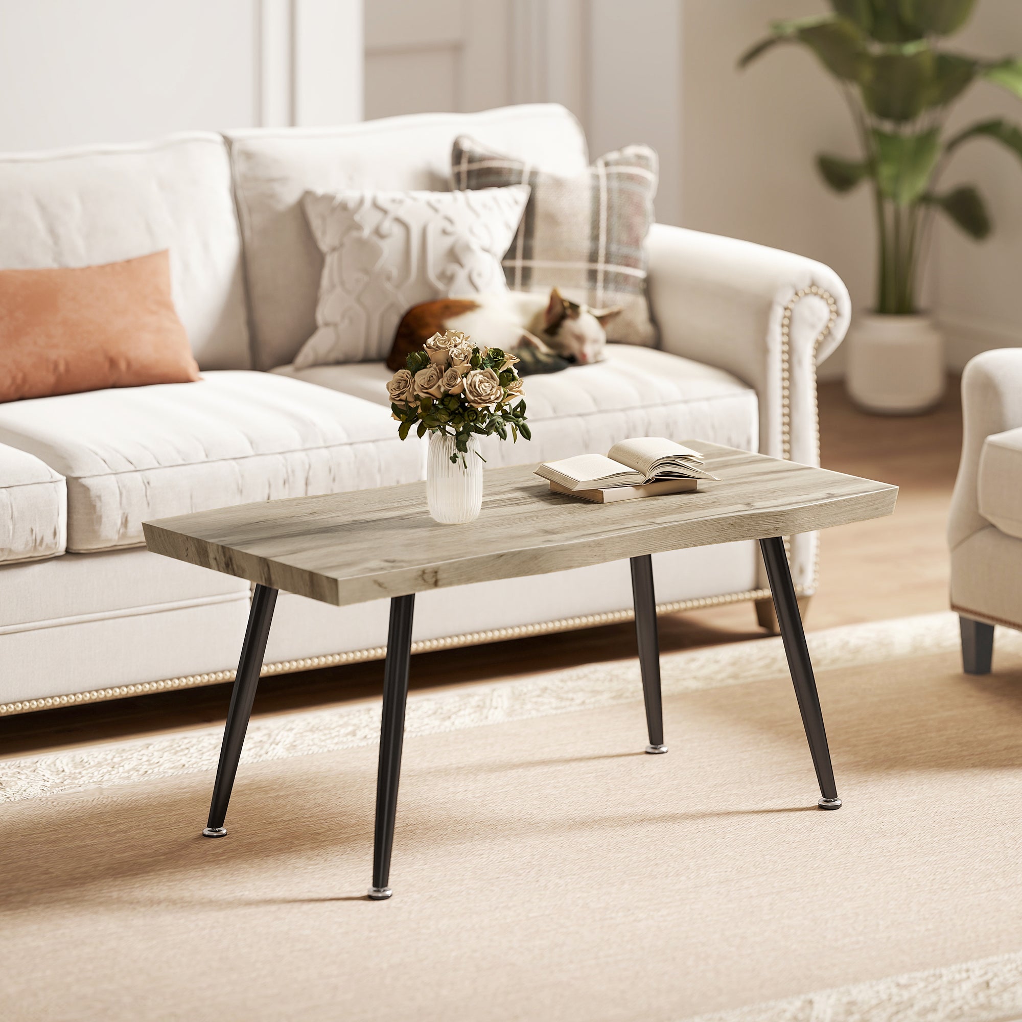 Coffee Table, Modern Accent Table with Steel Legs and 1.6" Thick Top for Living Room/Office/Bedroom, 39.4 x 19.7 x 17.7 in, Oak & Black