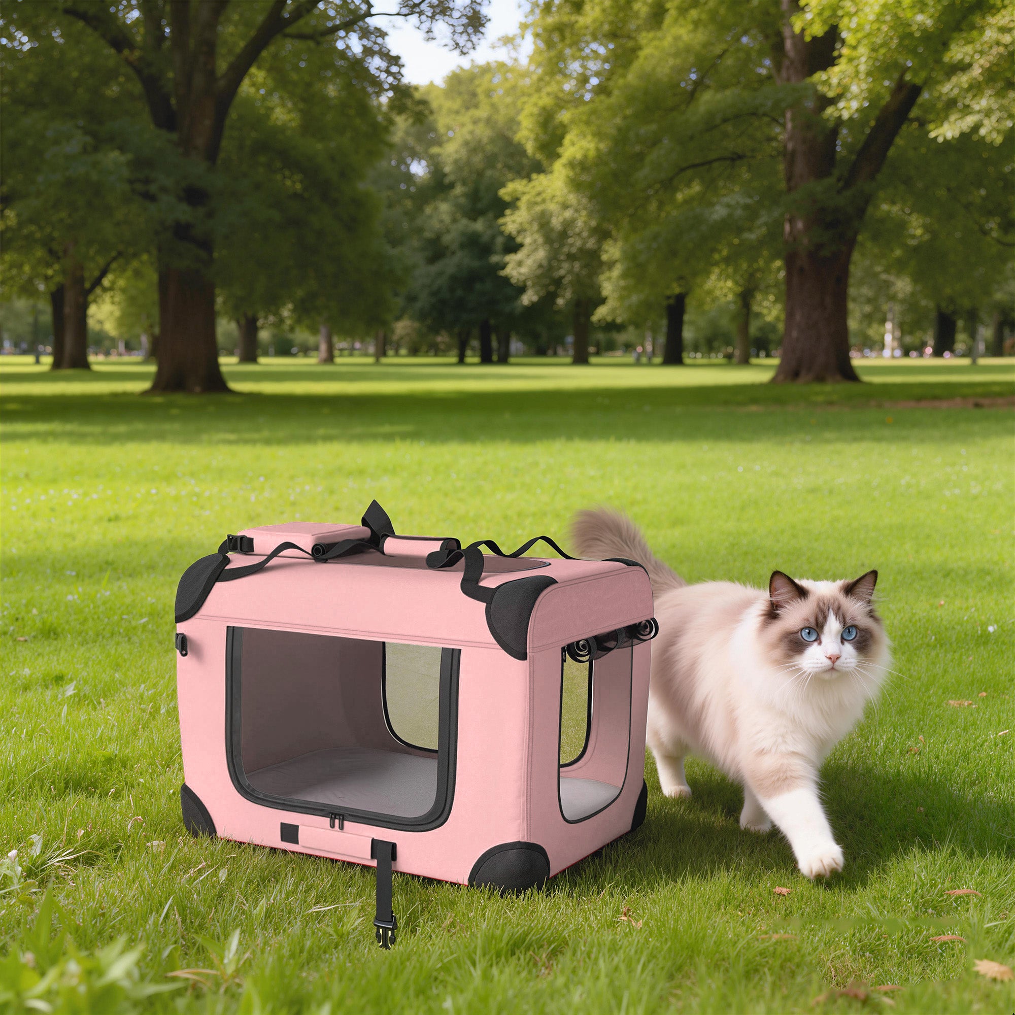 Foldable Pet Carrier, 60 x 41.5 x 41 cm (23.6 x 16.3 x 16.1 in), Mesh Windows, Soft Cushion, 2 Handles, Travel Bag for Mini Dogs & Cats, Pink
