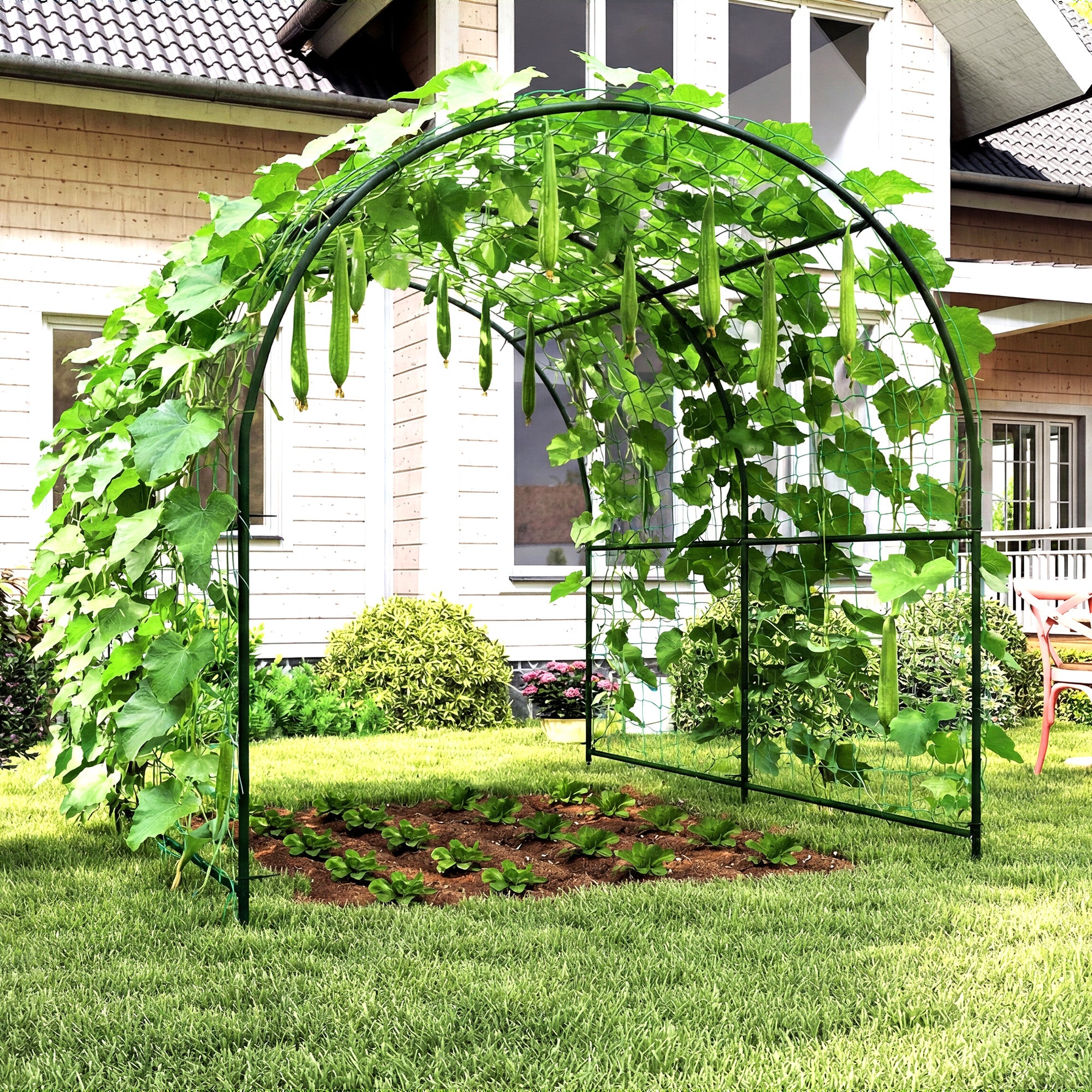 Rust-Resistant Curved Metal Trellis Arch for Tomatoes & Climbers, 210 x 250 x 216 cm – Dark Green