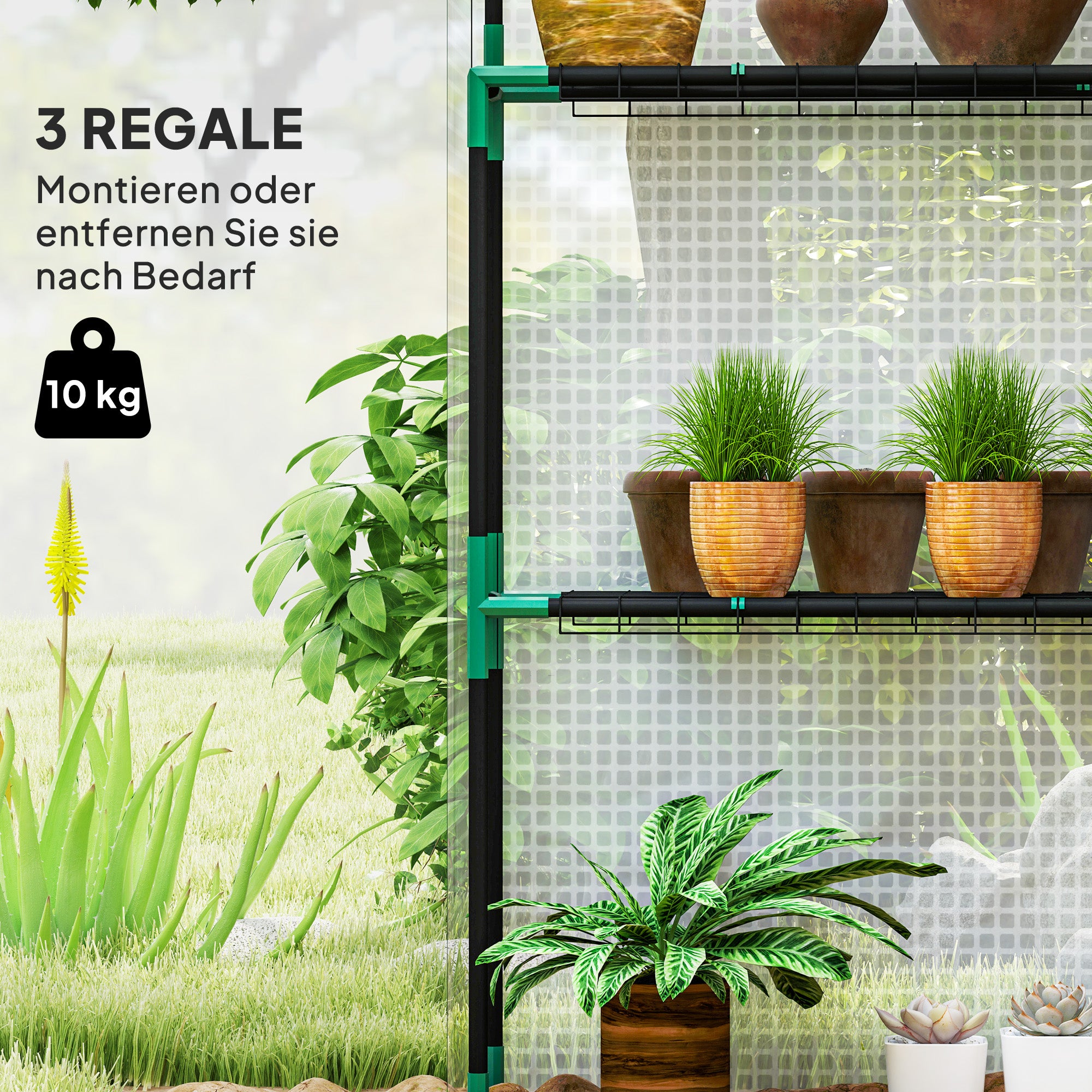 Greenhouse with Rolling Door, Window, Shelves, Winterproof Steel Frame Greenhouse for Balcony, Garden, Tomato House 143 x 74 x 190 cm, Tomato Greenhouse for Tomatoes, Vegetables, White