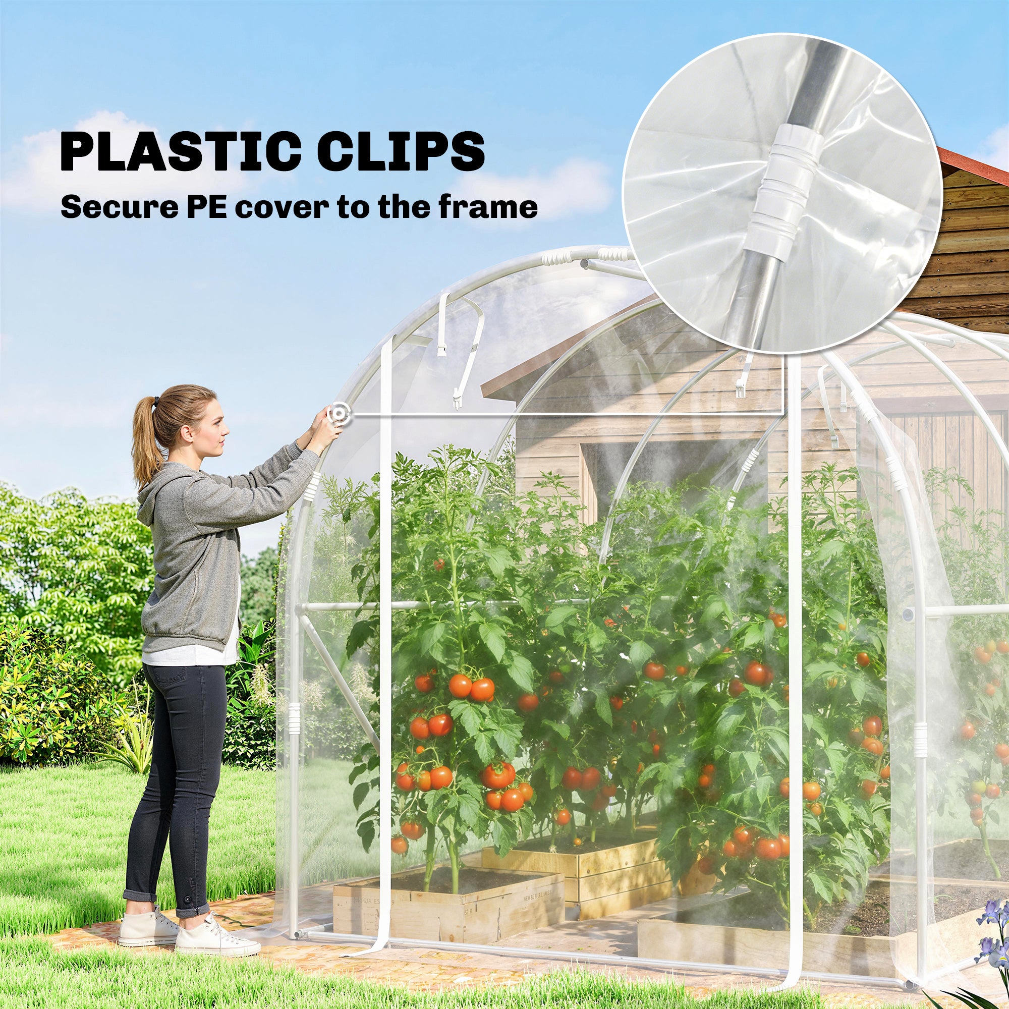 6 m² (≈64.6 sq ft) Tunnel Greenhouse — Galvanized Steel Frame, 150 gsm PE Cover, 2 Roll-Up Zipper Doors, 195×295×195 cm (76.8×116.1×76.8 in) — Clear
