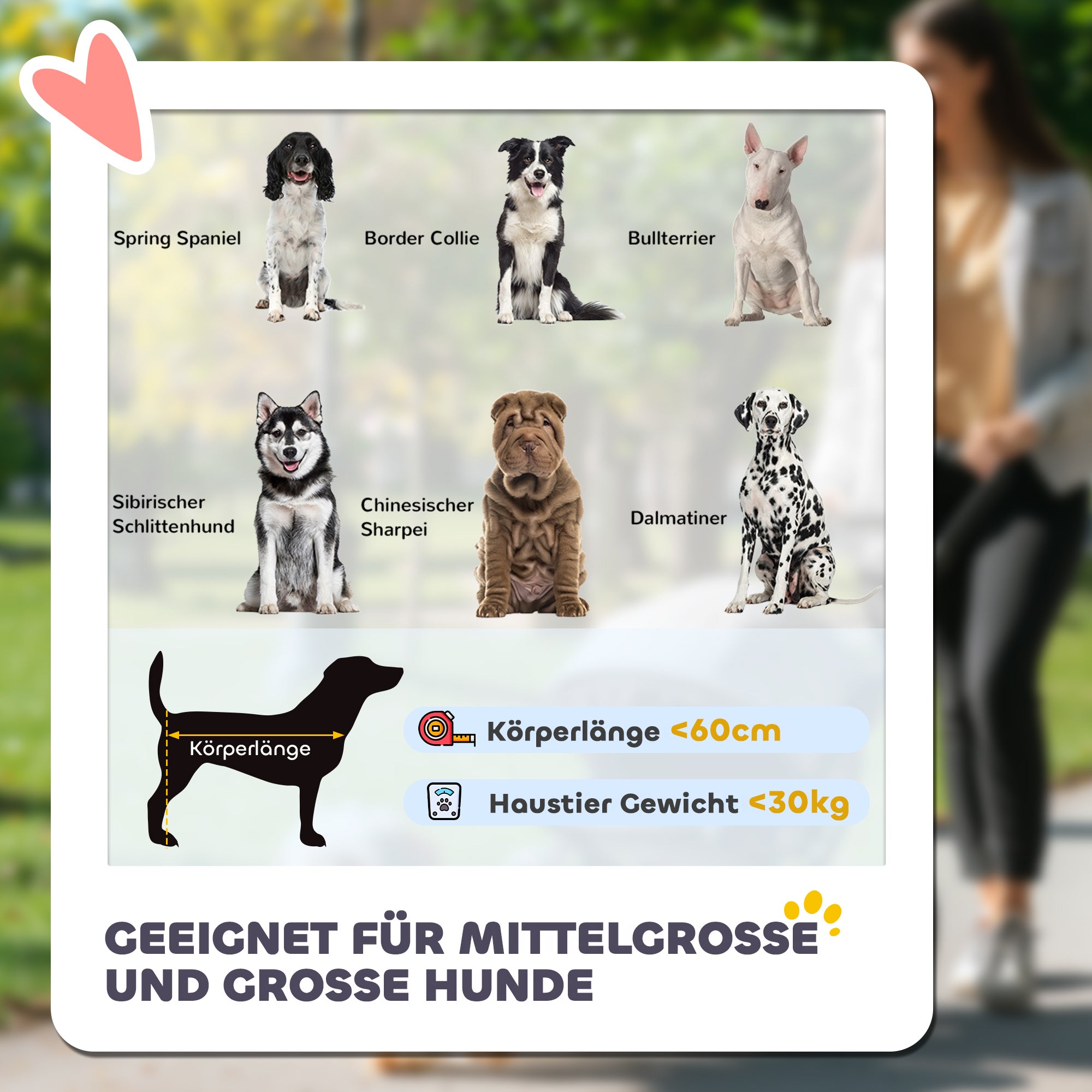 Dog Stroller, Dog Stroller with Cushion, Foldable Dog Trolley, Cat Stroller for Large and Medium Dogs, Dog Trolley with Mesh Window, Safety Leashes, Bag, Oxford Fabric, Dark Gray