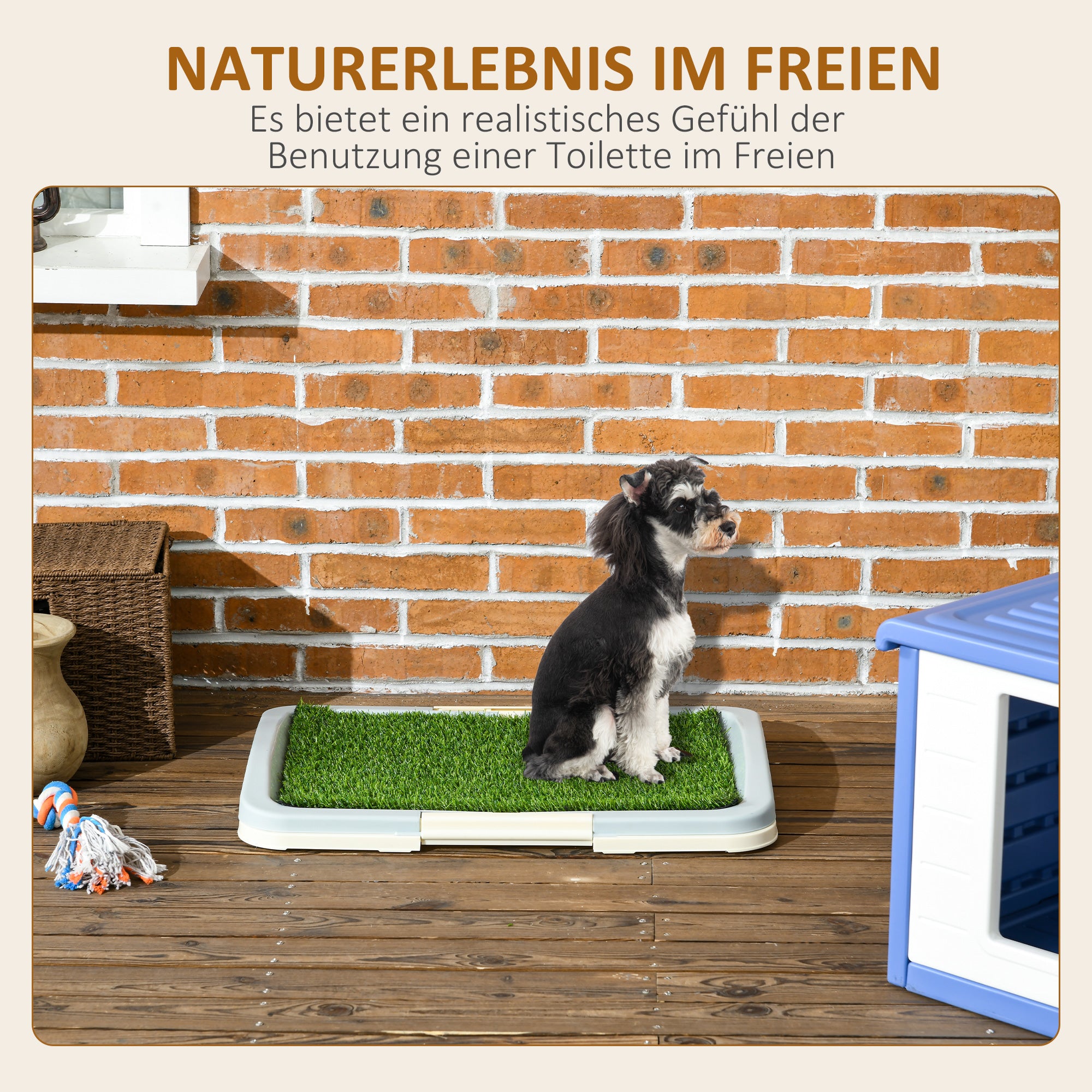 Puppy Toilet Dog Toilet for Small Dogs Indoors Puppy Potty for Home Puppy Training Grass for Puppies Balcony Indoor Artificial Grass Dog Toilet Blue 63x48.5cm