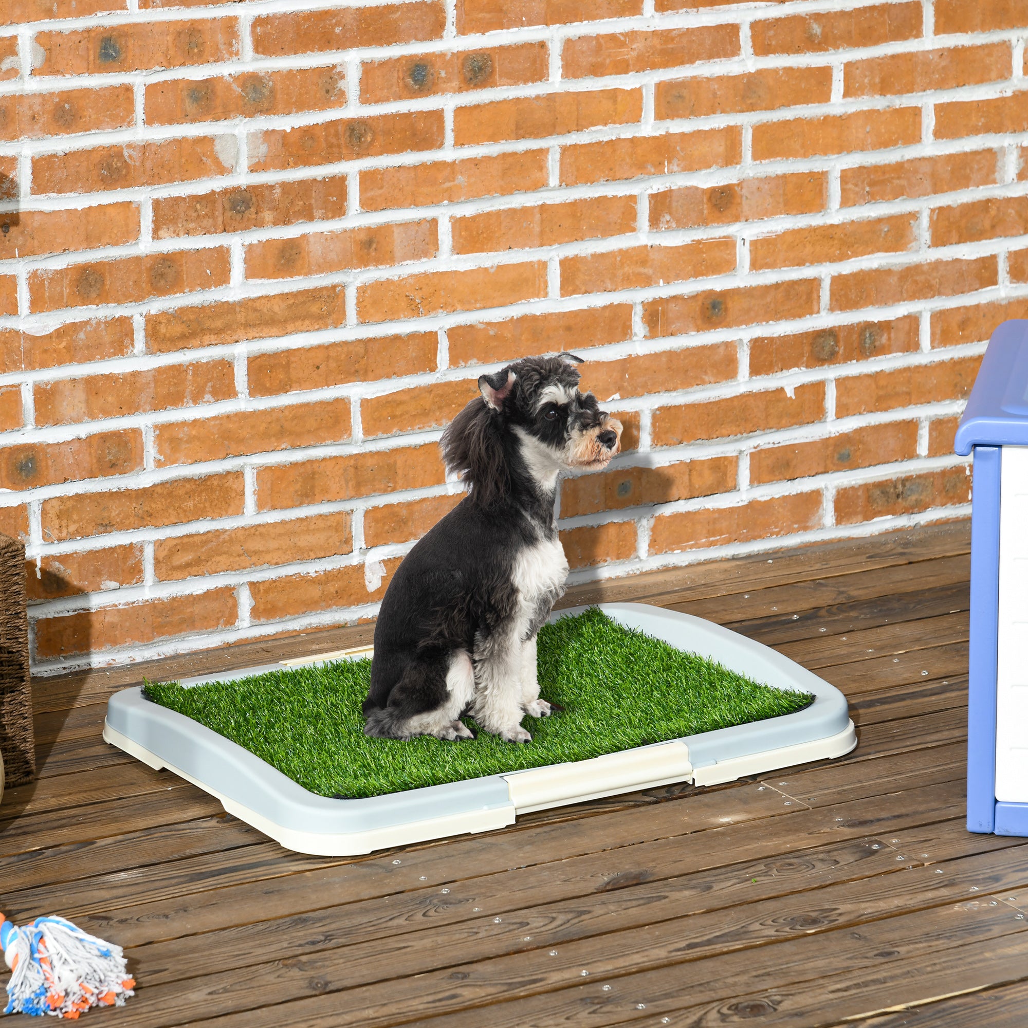 Puppy Toilet Dog Toilet for Small Dogs Indoors Puppy Potty for Home Puppy Training Grass for Puppies Balcony Indoor Artificial Grass Dog Toilet Blue 63x48.5cm